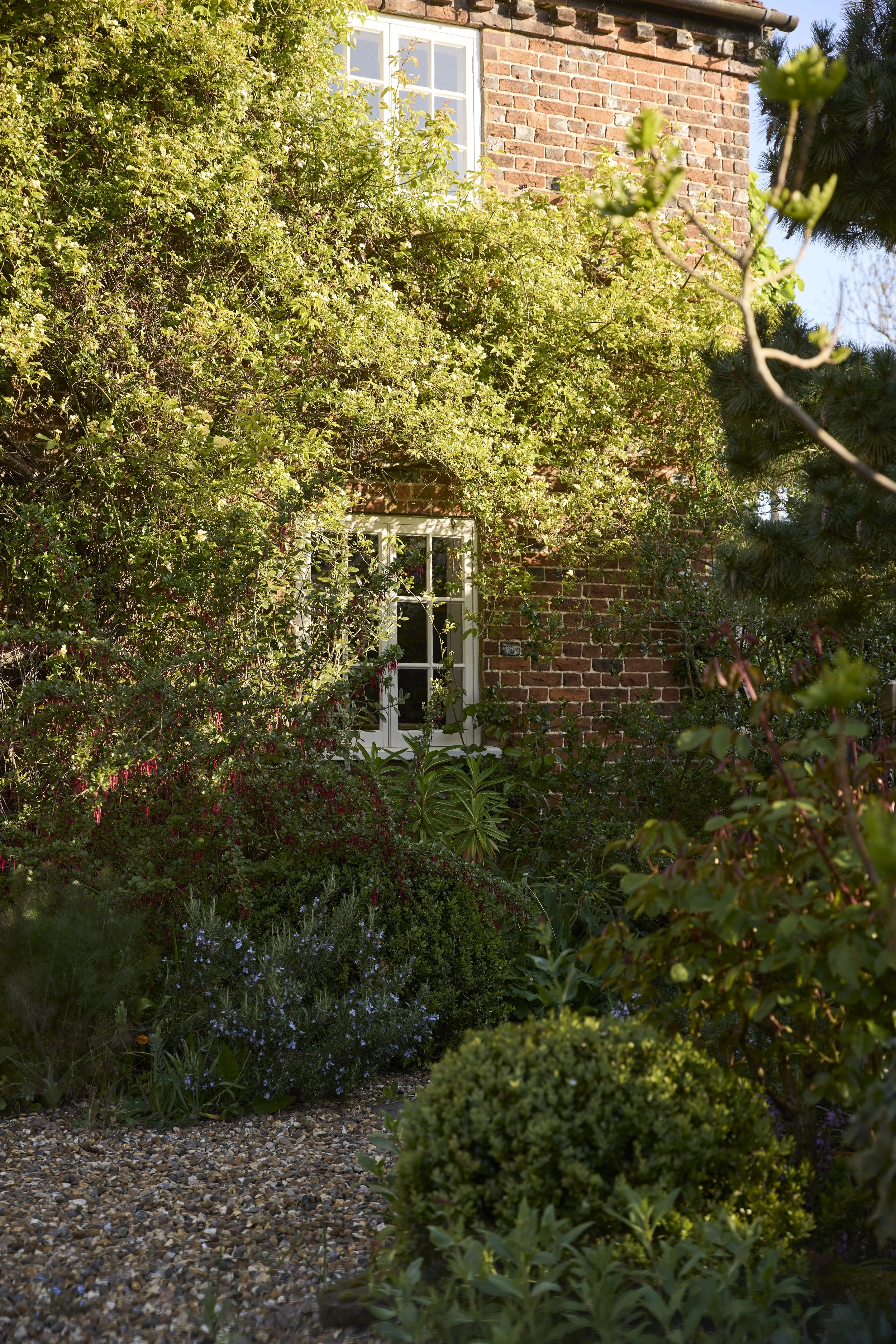 260422_Rustling_End_Herts_Spring_00623.jpg