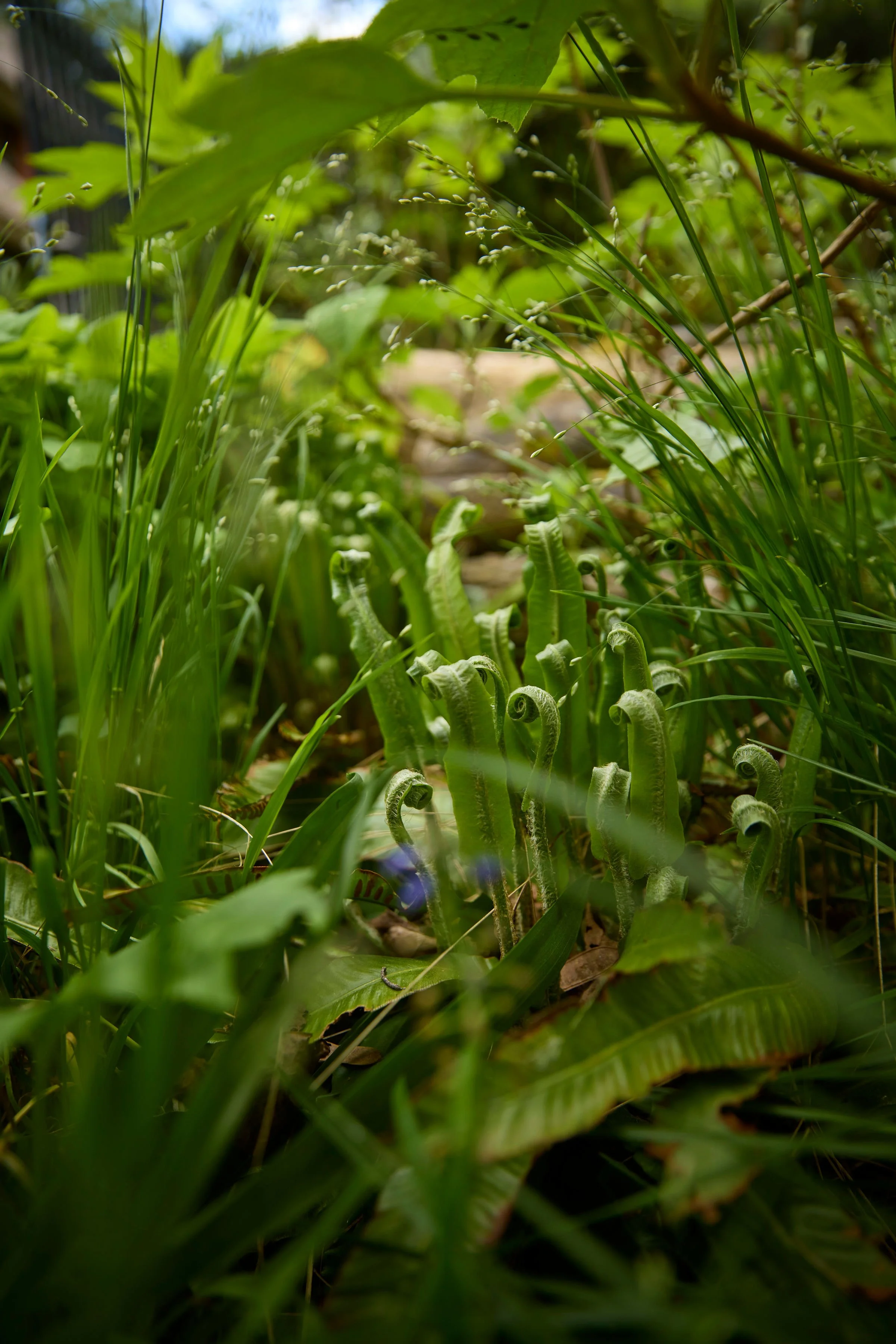 260507_SMLA_Hilversum_A_001344.jpg