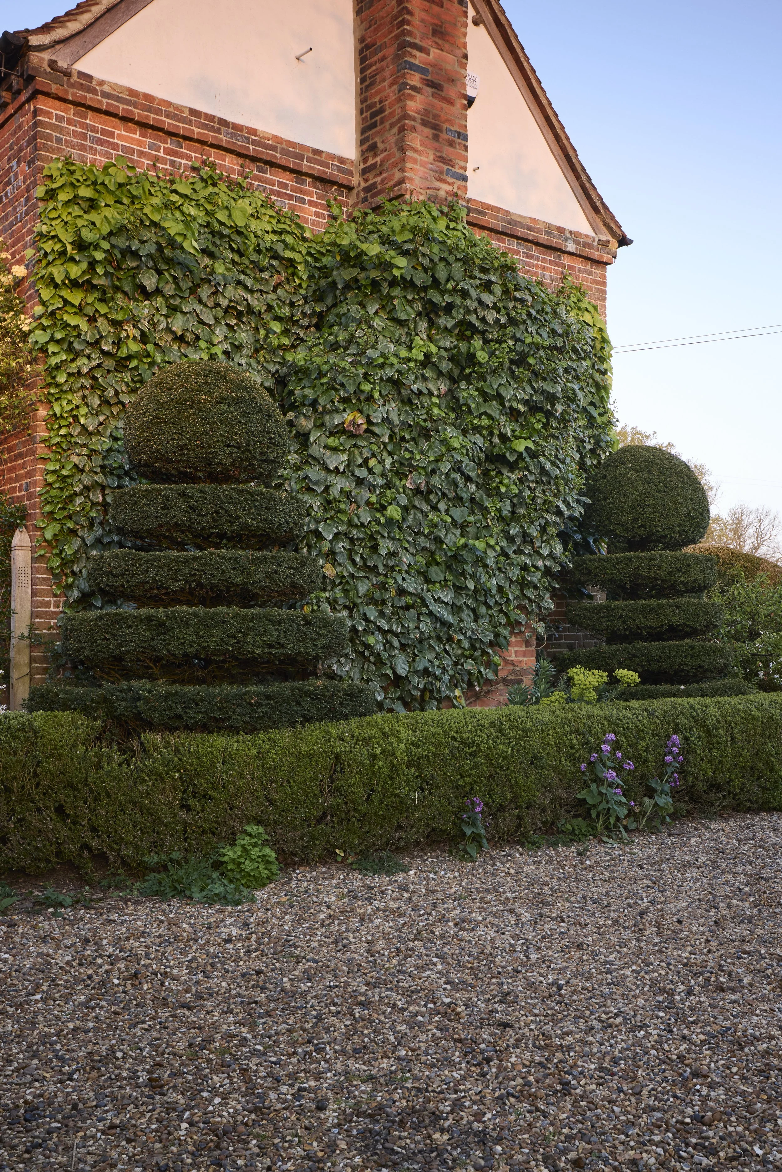 260422_Rustling_End_Herts_Spring_00023.jpg