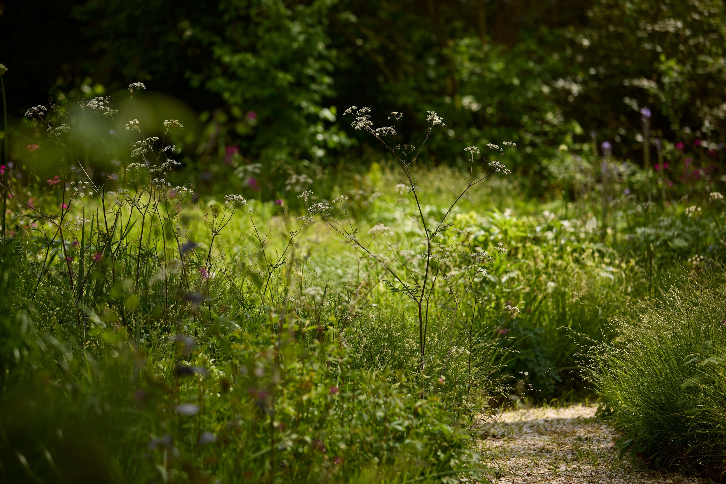 260507_SMLA_Hilversum_B_002971.jpg