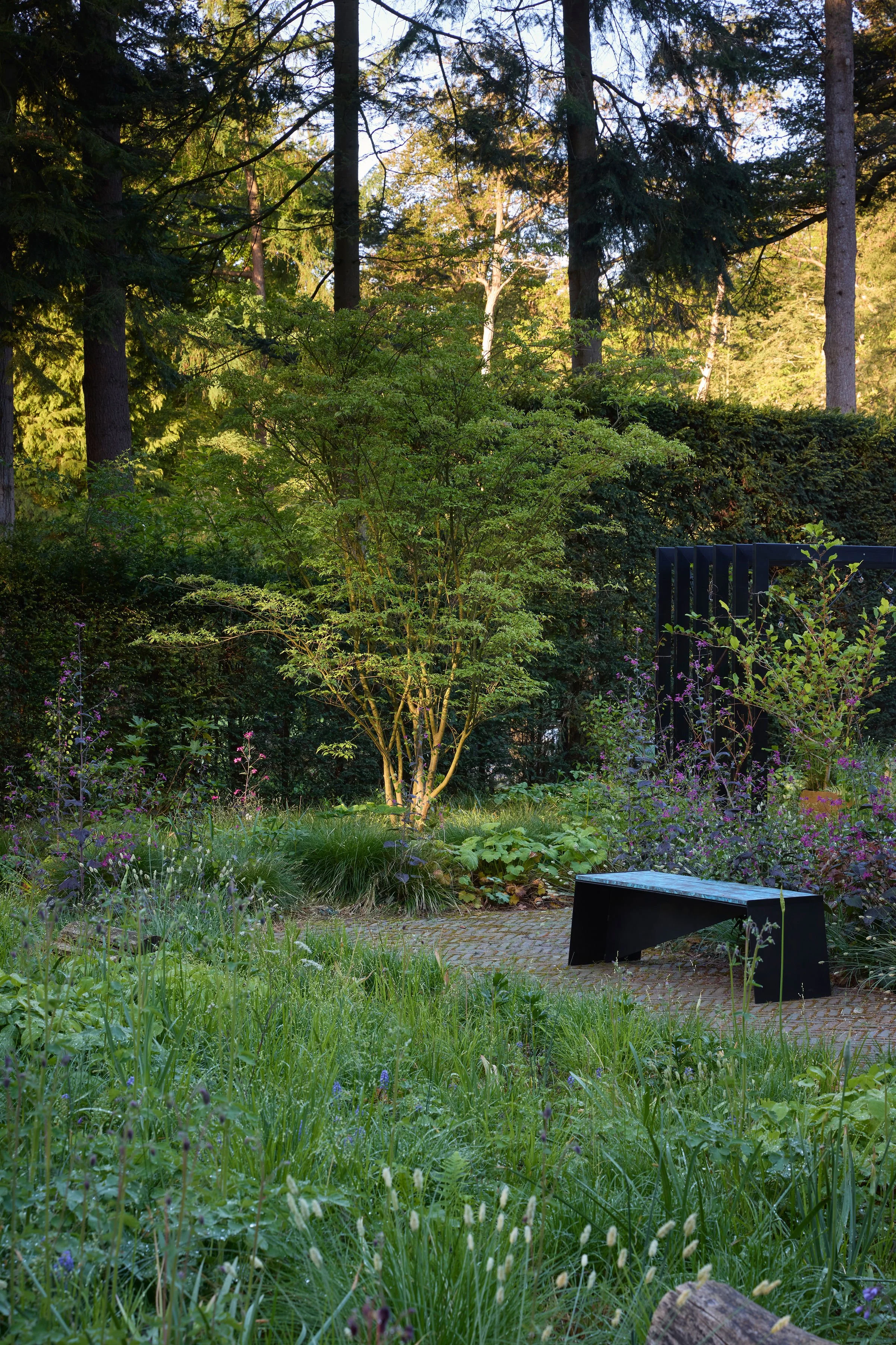 260507_SMLA_Hilversum_A_000218.jpg