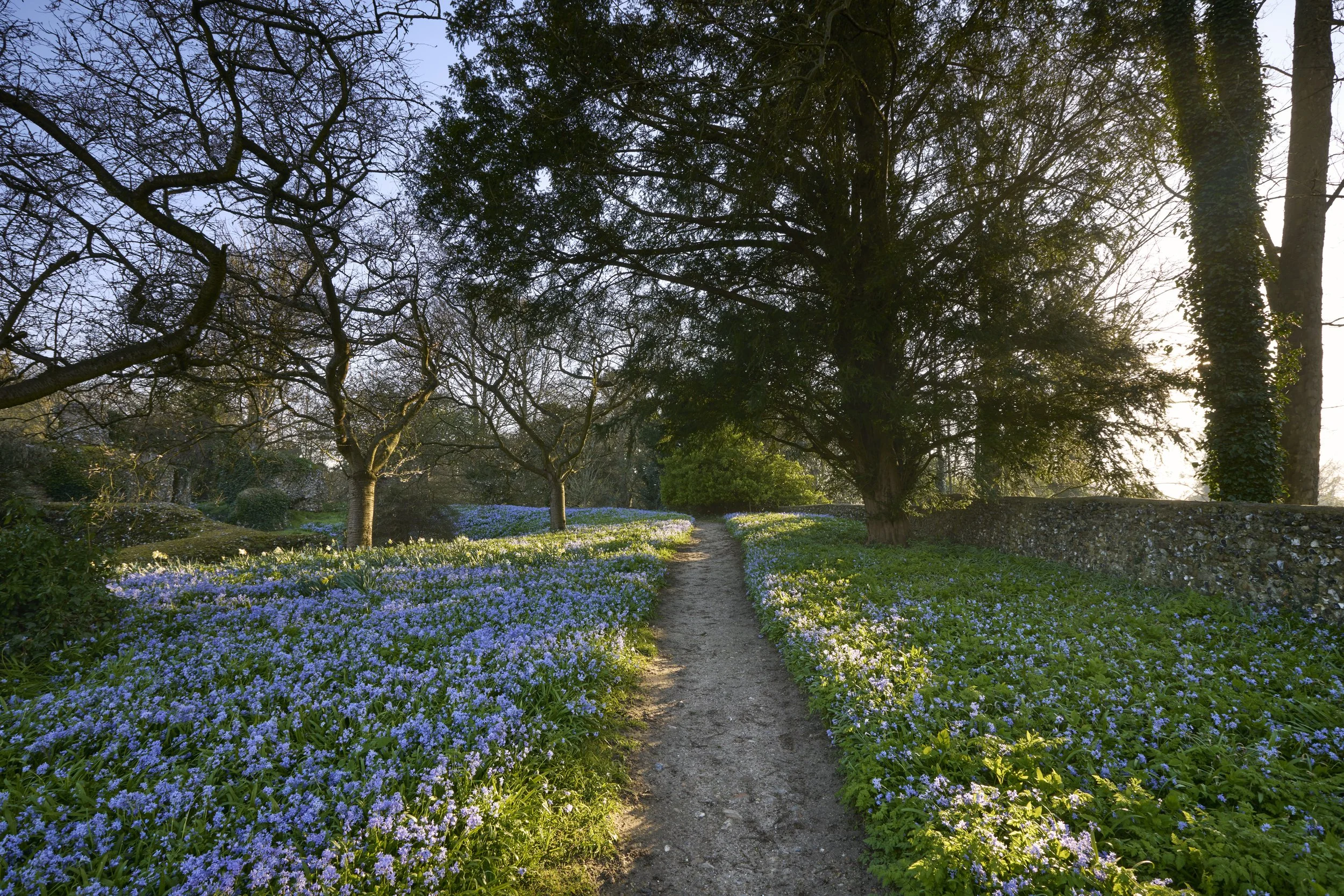 260311_Benington_Lordship_Gardens_A_01329.jpg