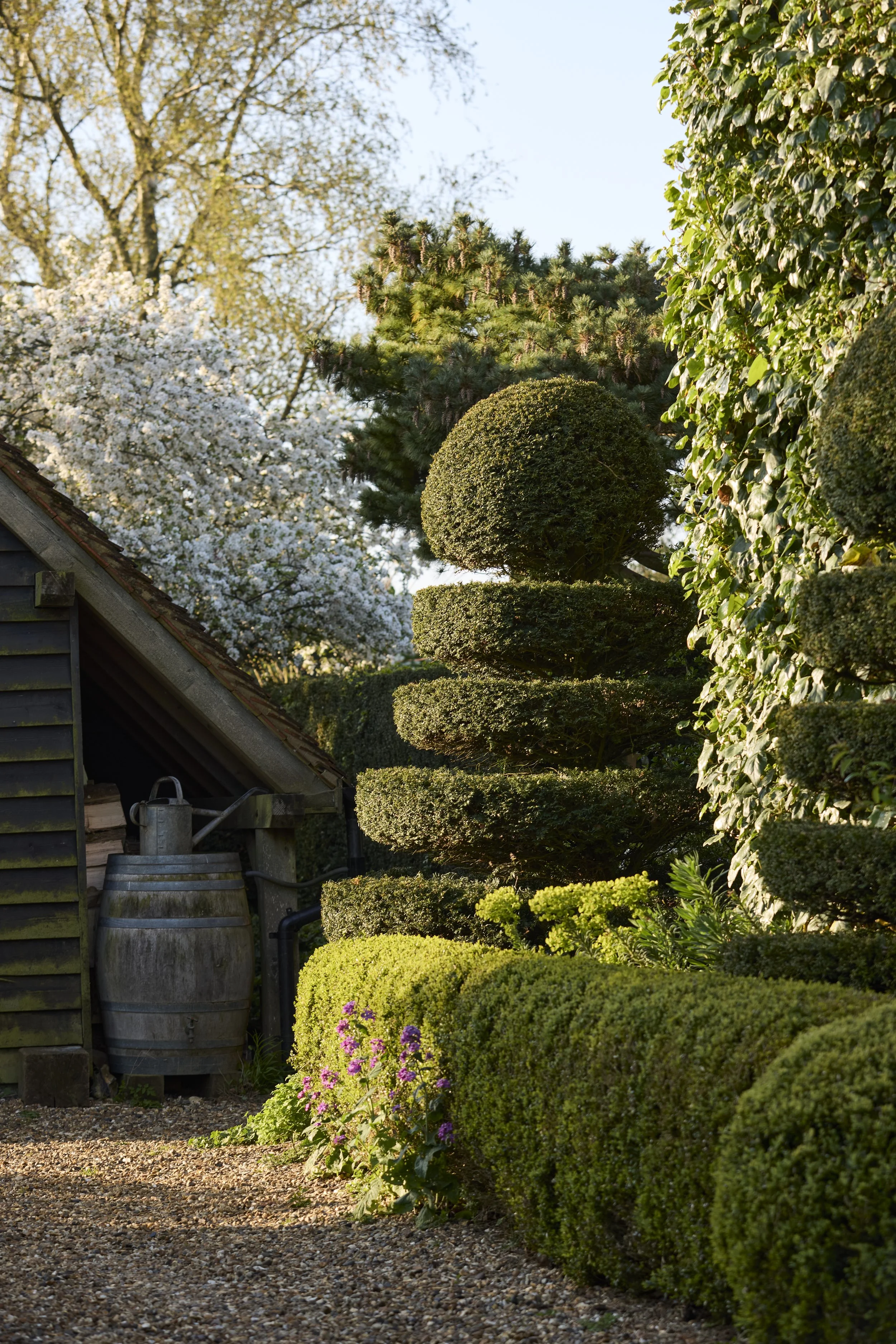 260422_Rustling_End_Herts_Spring_00424.jpg