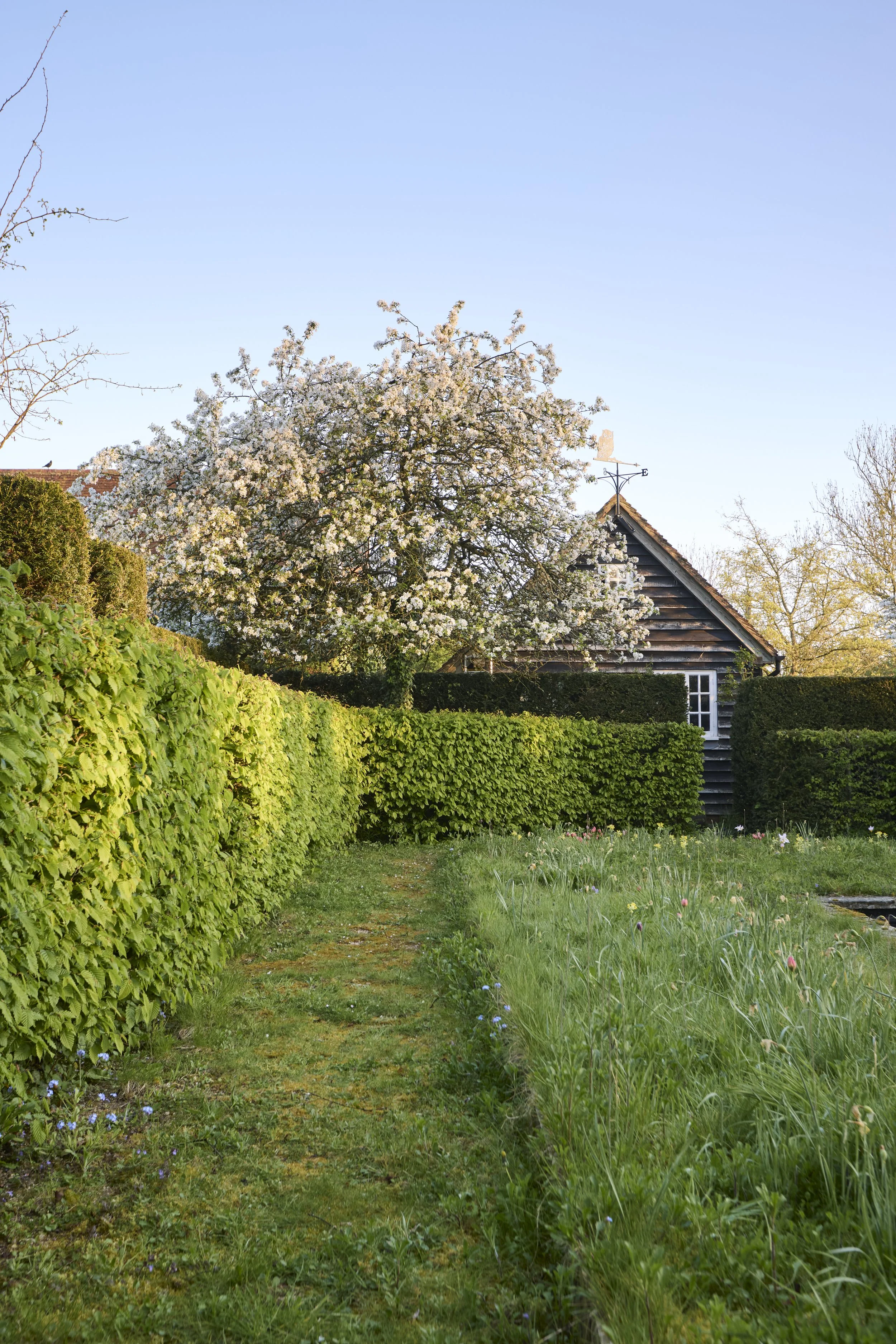 260422_Rustling_End_Herts_Spring_00139.jpg