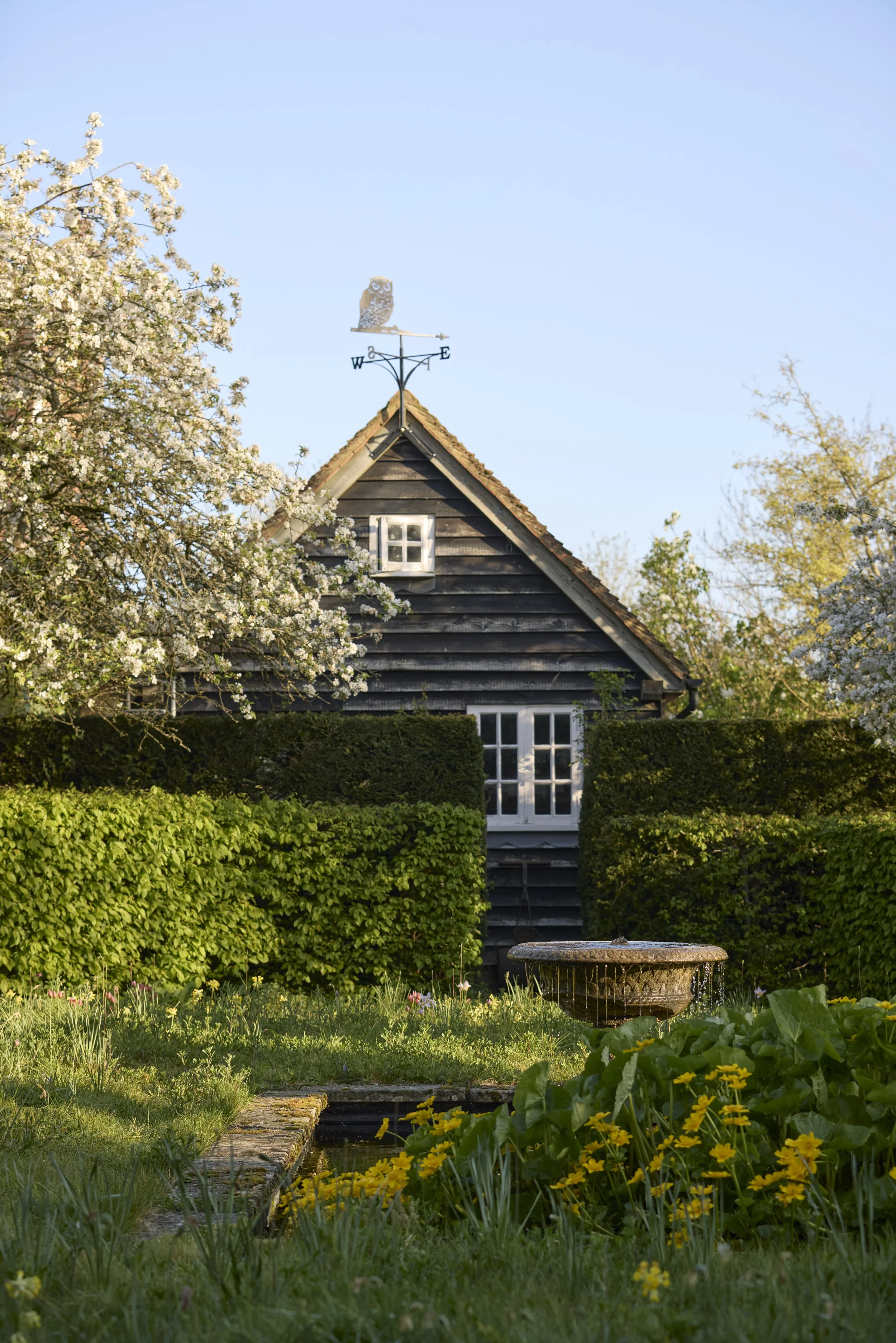260422_Rustling_End_Herts_Spring_00466.jpg