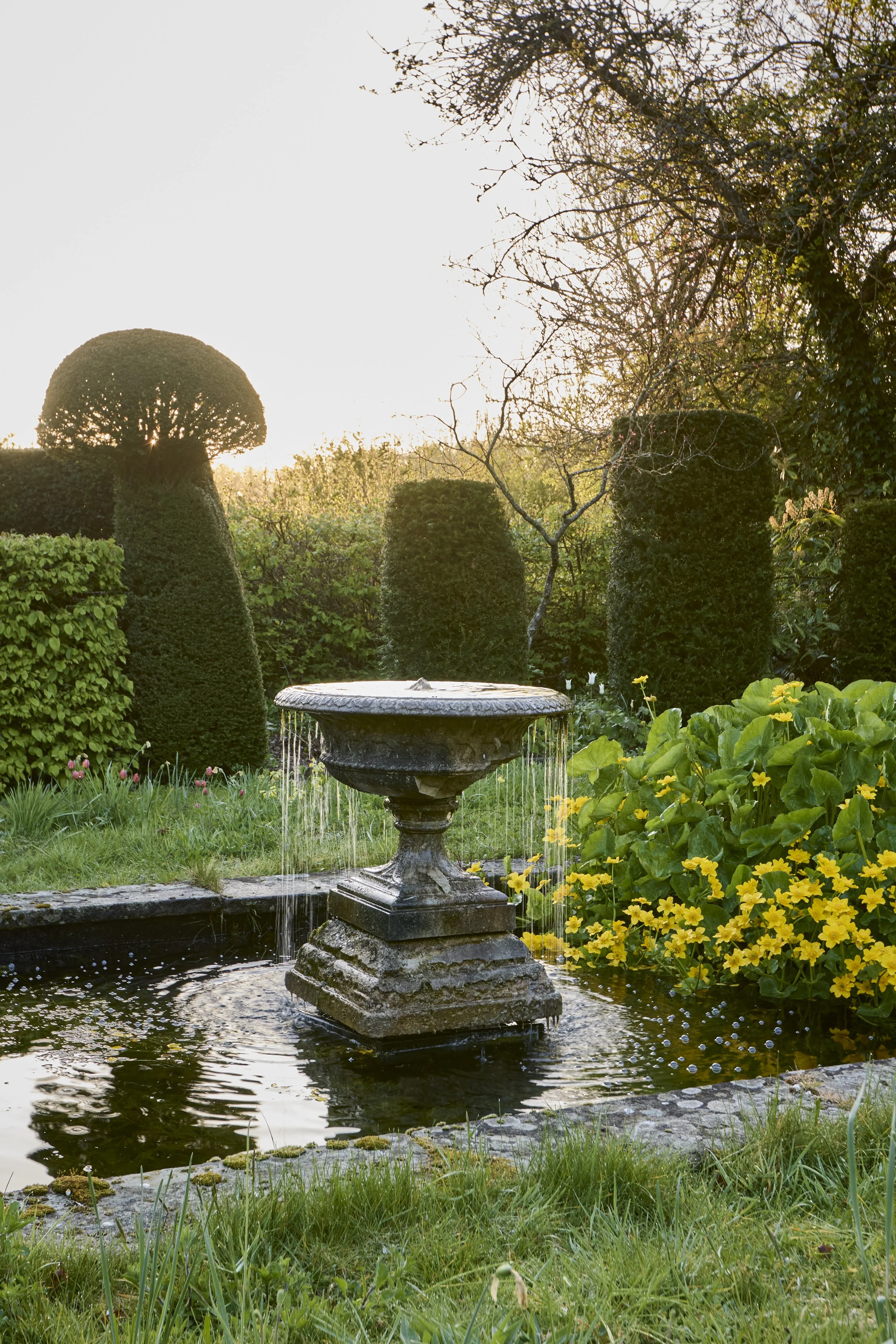 260422_Rustling_End_Herts_Spring_00141.jpg