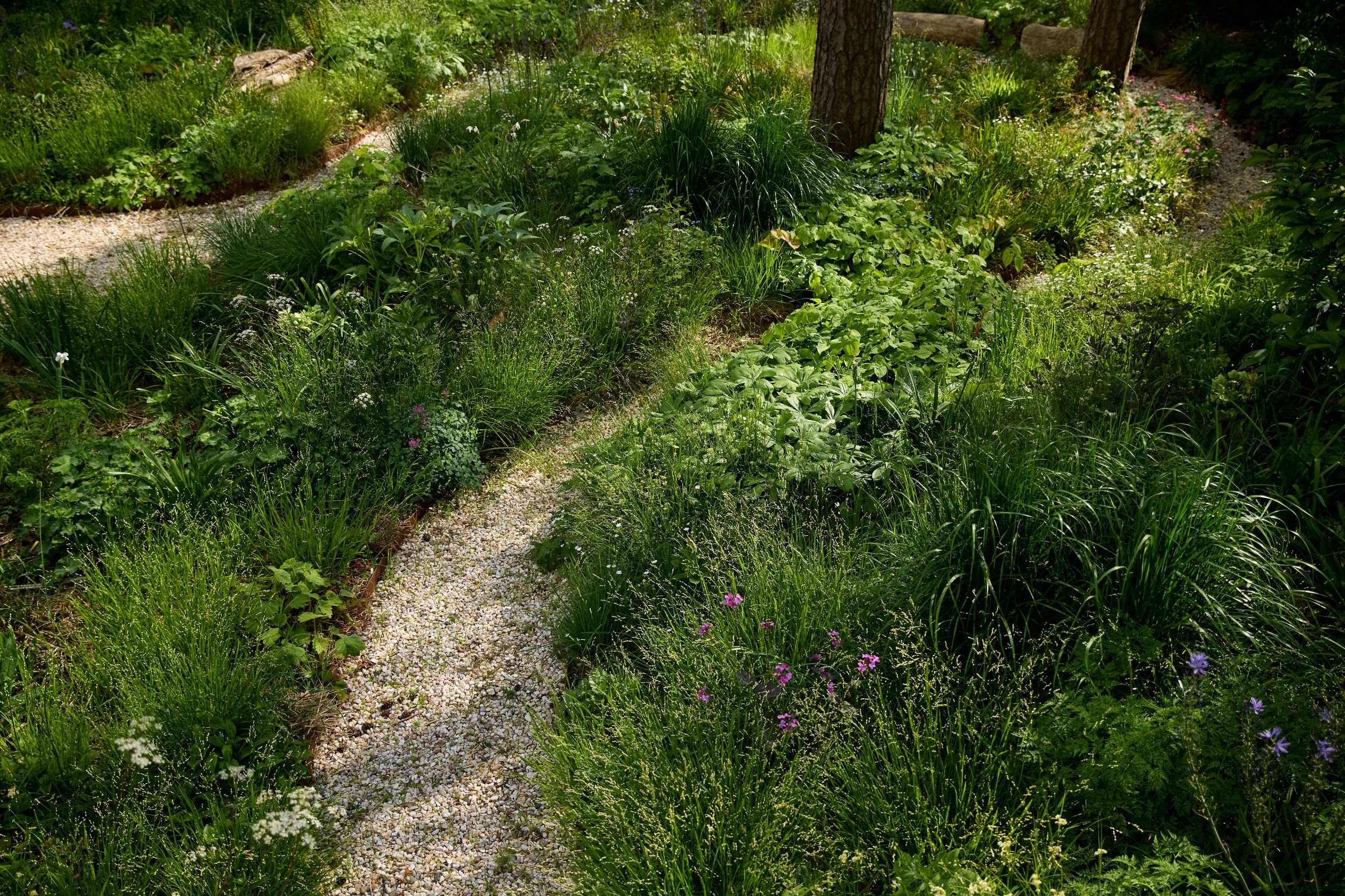 260507_SMLA_Hilversum_B_003150.jpg
