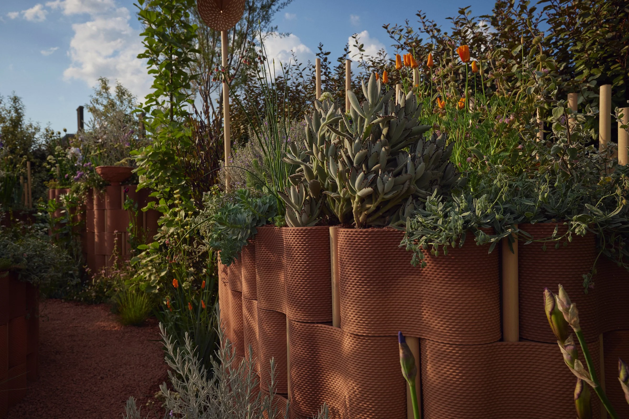240519_RHS_Chelsea_Others_00962.jpg