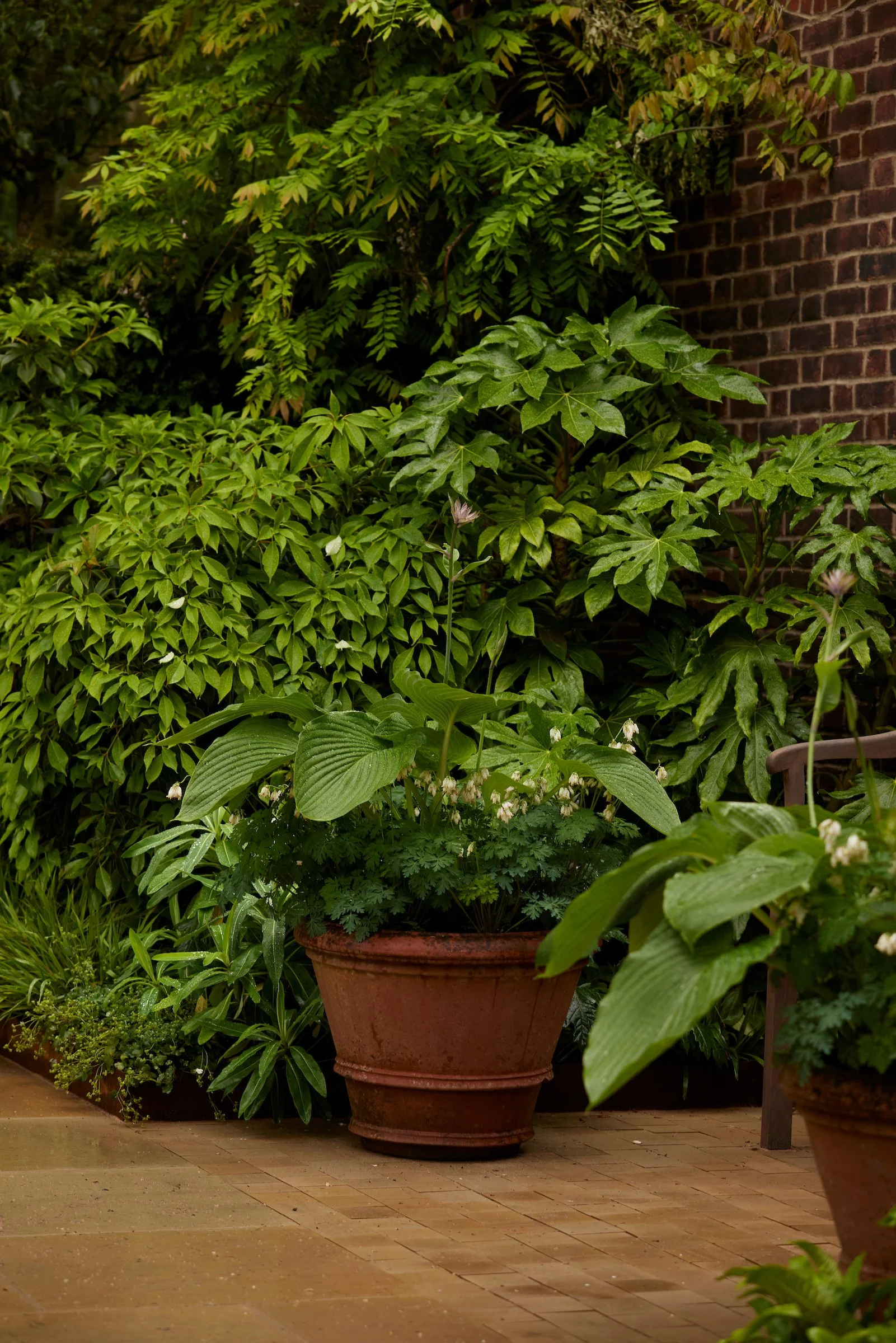 240522_RHS_Chelsea_Wednesday_00300 1.jpg