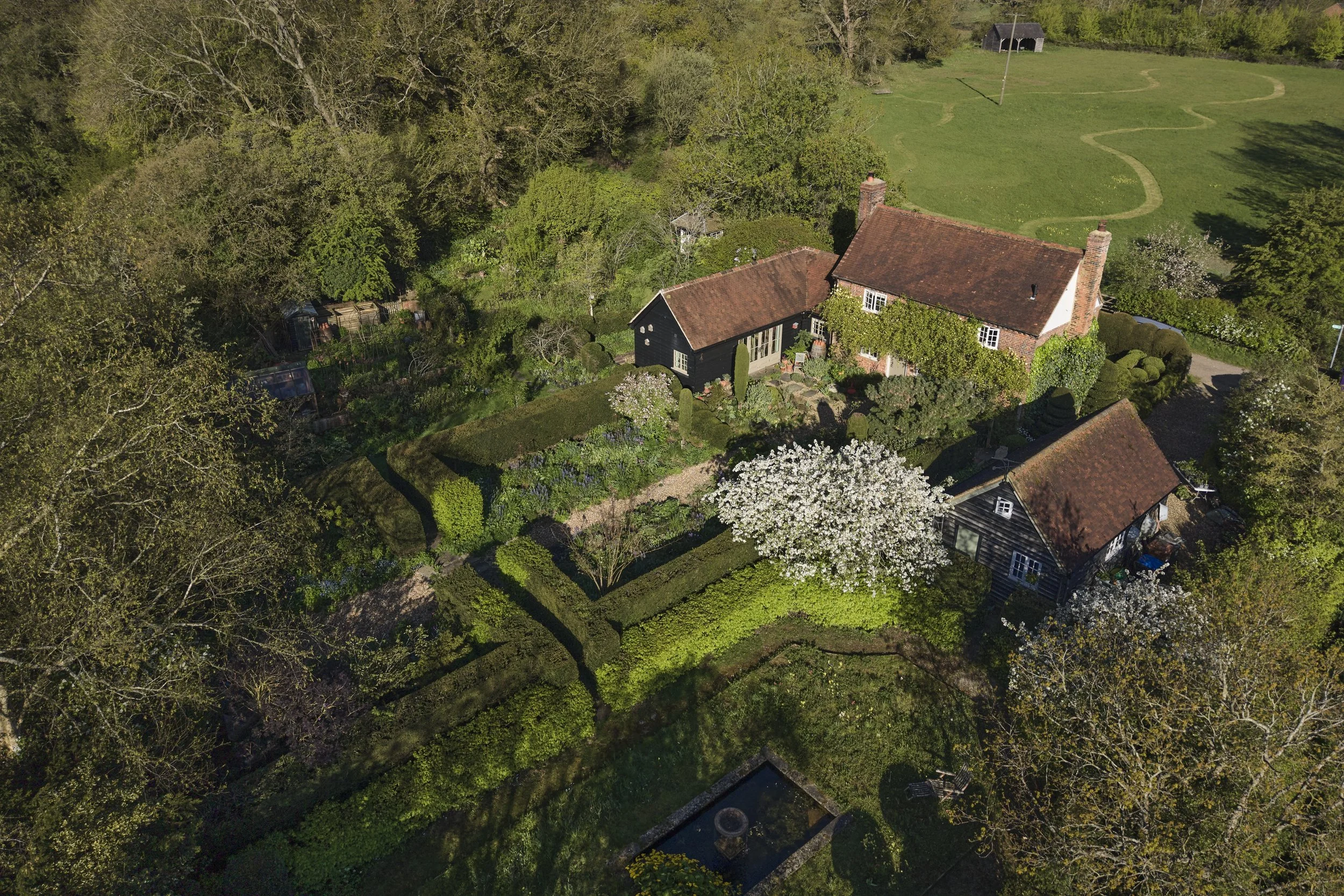 260422_Rustling_End_Herts_Spring_00834.jpg