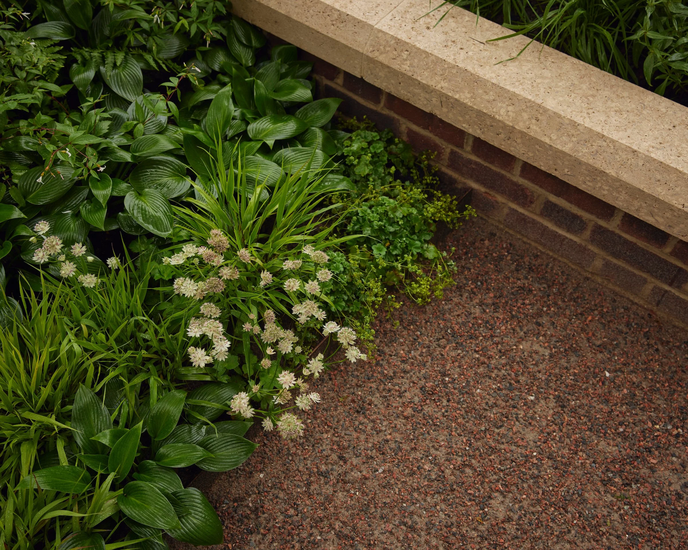 240522_RHS_Chelsea_Wednesday_00182 1.jpg