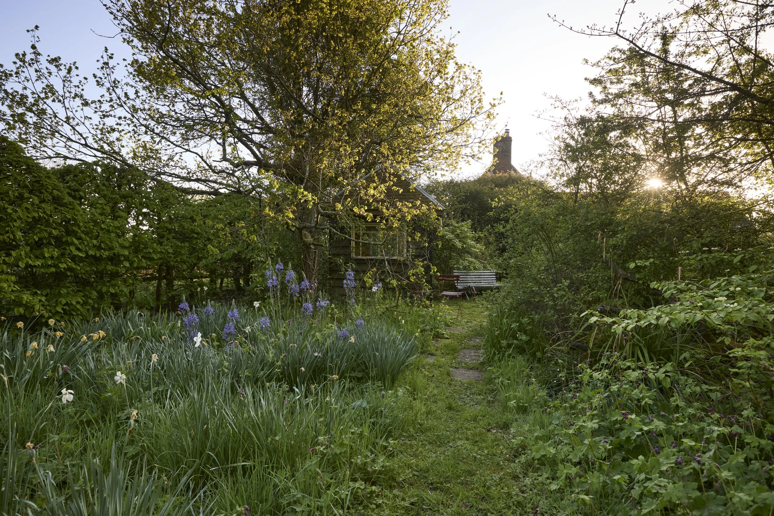 260422_Rustling_End_Herts_Spring_00291.jpg