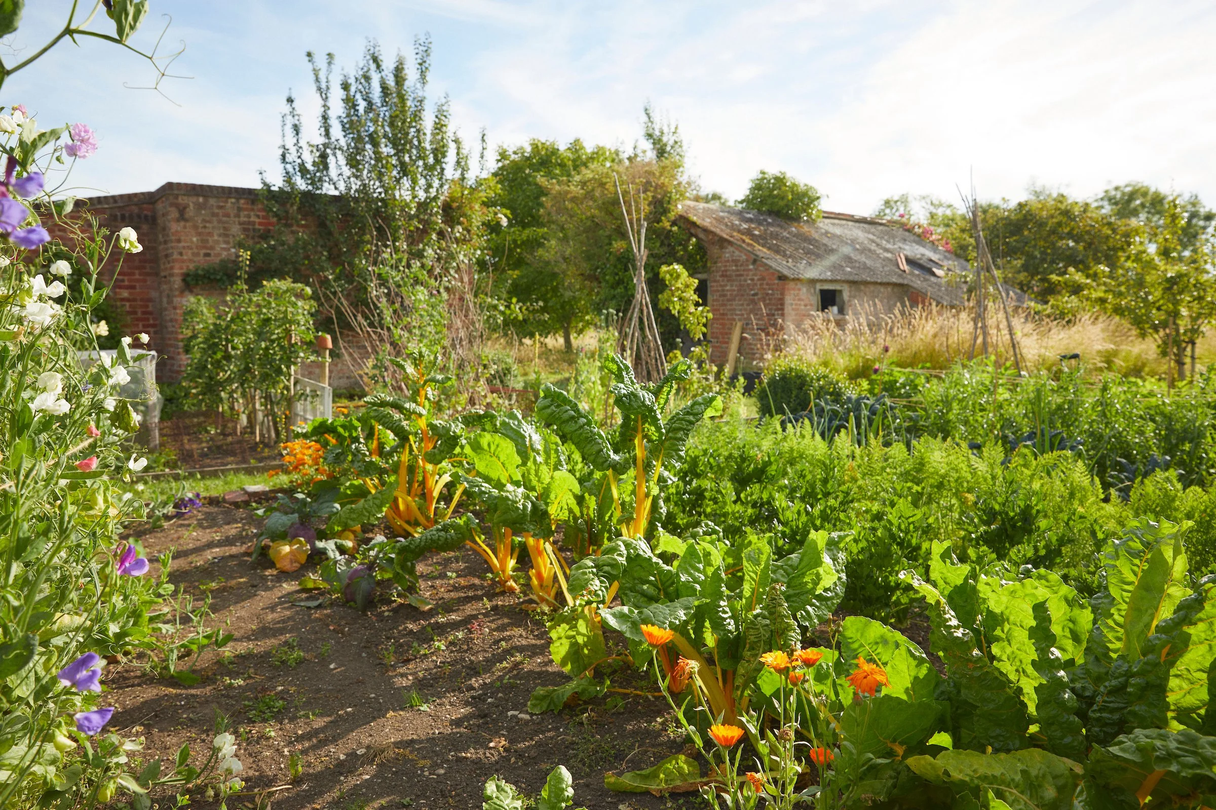 220708_Long_Bredy_House_ 59 1.jpg