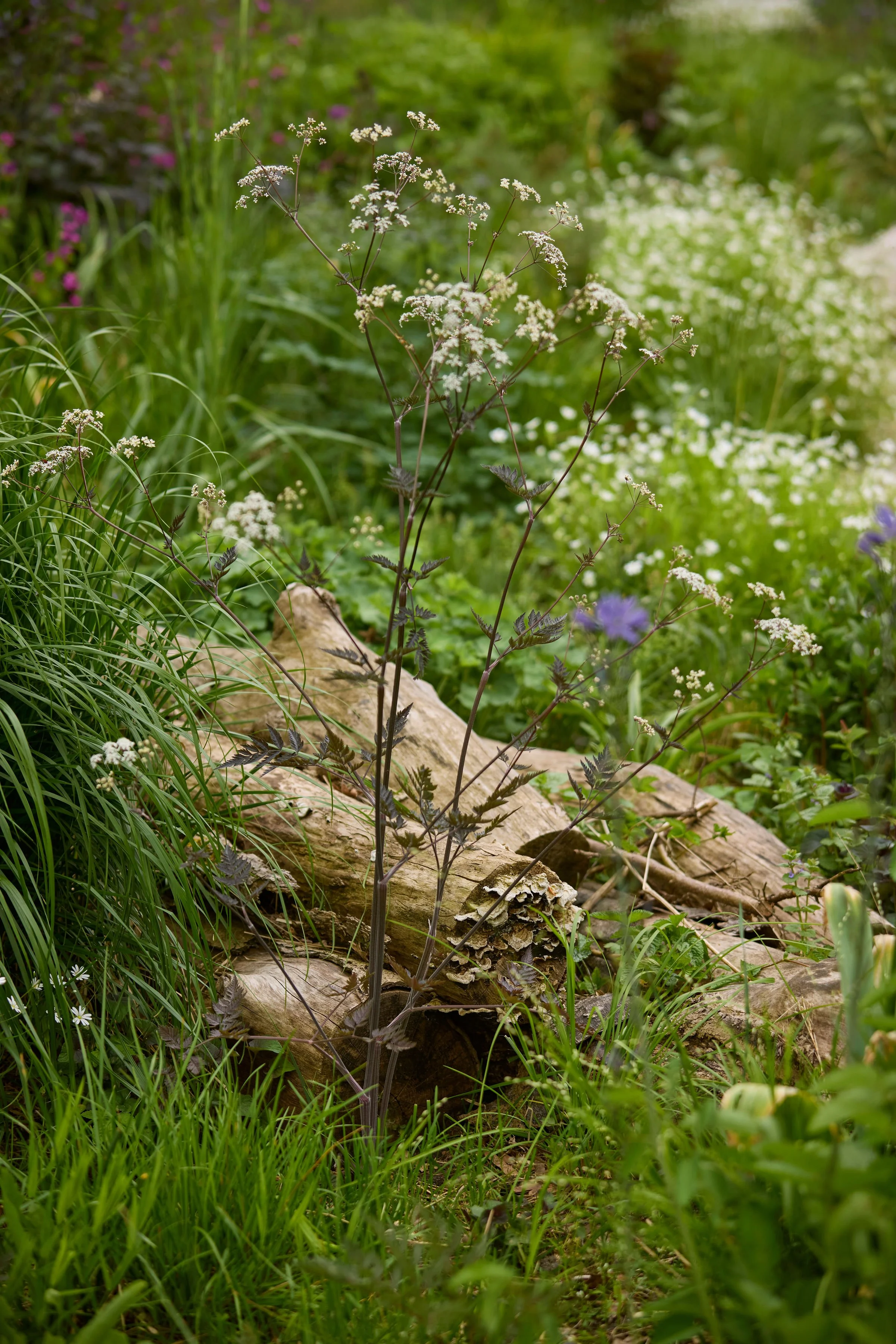 260507_SMLA_Hilversum_A_002277.jpg