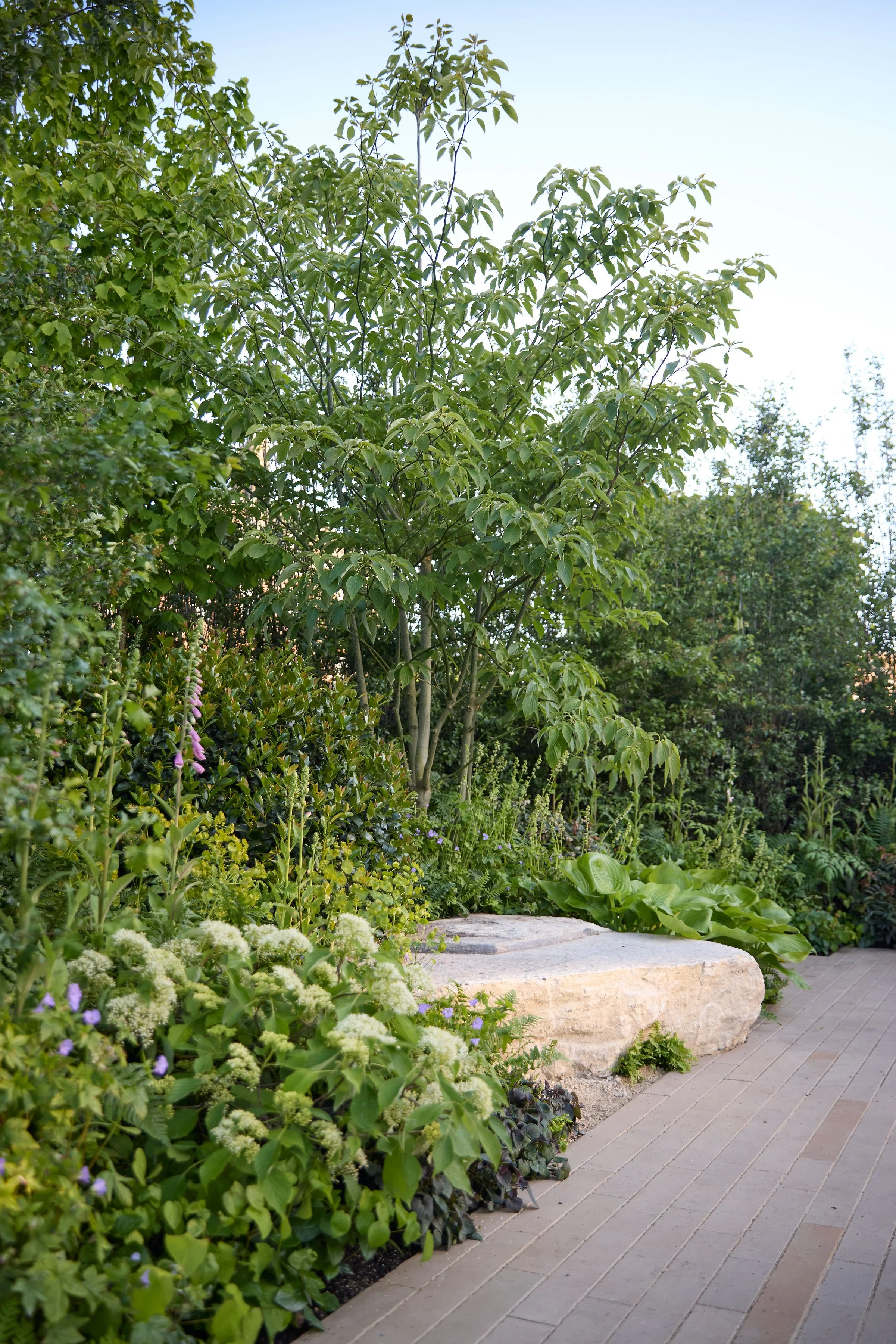 260515_RHS_Rob_Hardy_Trussell_000358.jpg