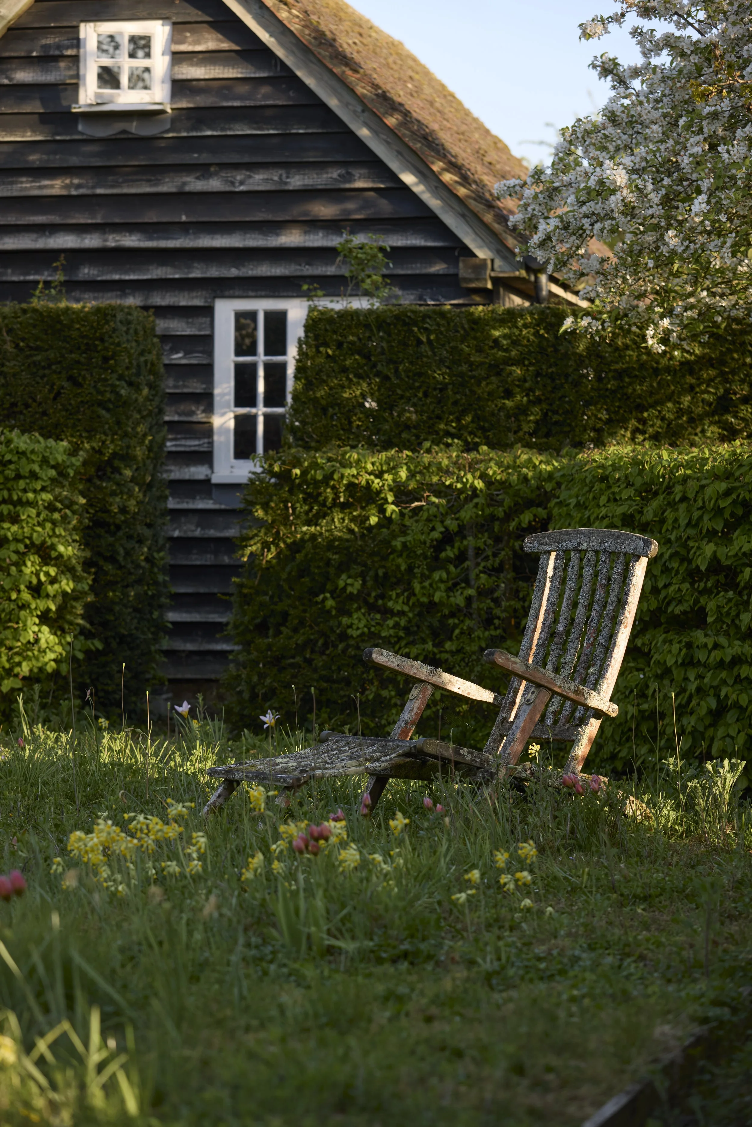 260422_Rustling_End_Herts_Spring_00446.jpg