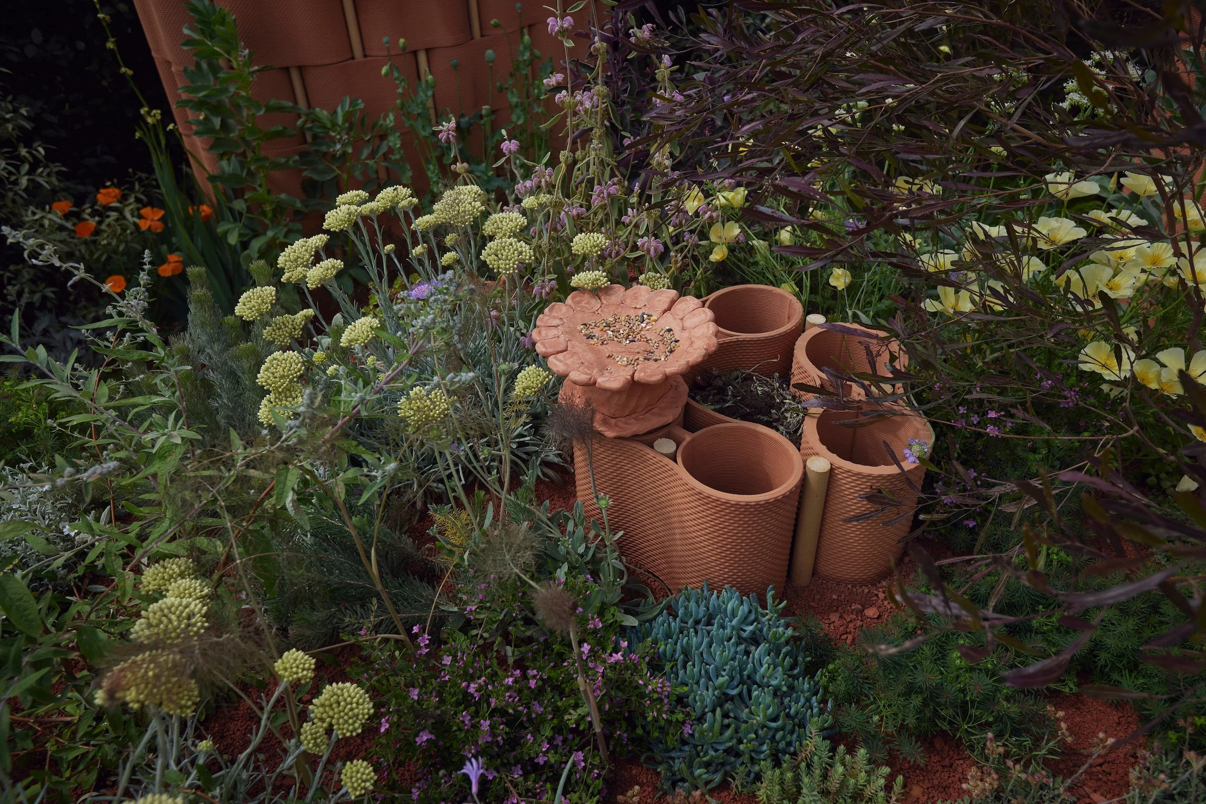 240519_RHS_Chelsea_Giulio_Giorgi_00626.jpg