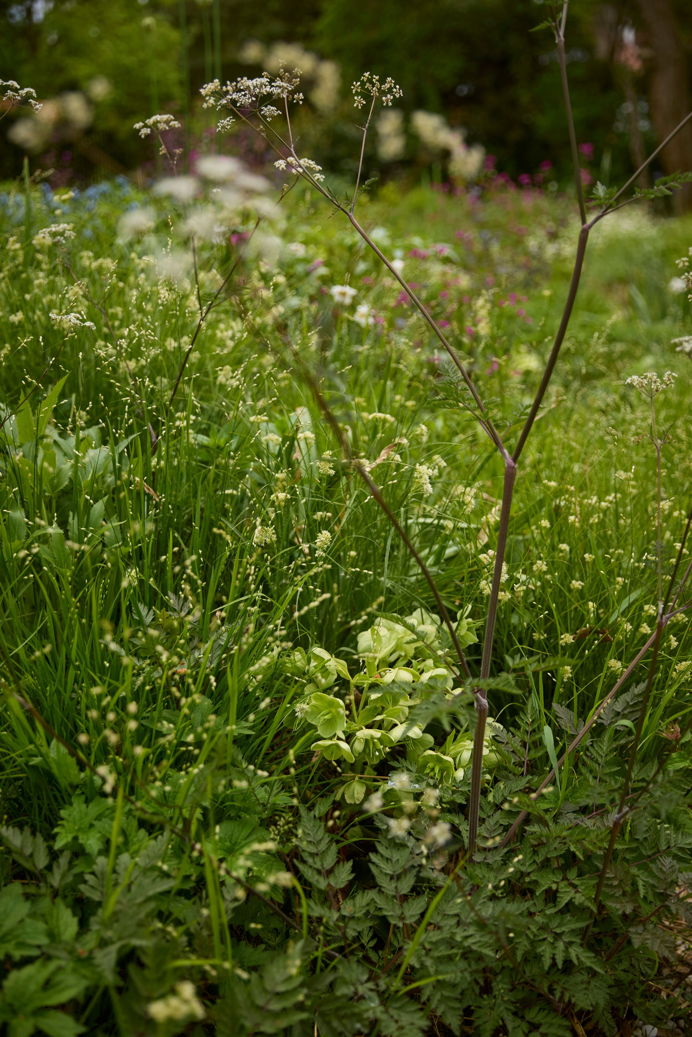 260507_SMLA_Hilversum_A_001852.jpg