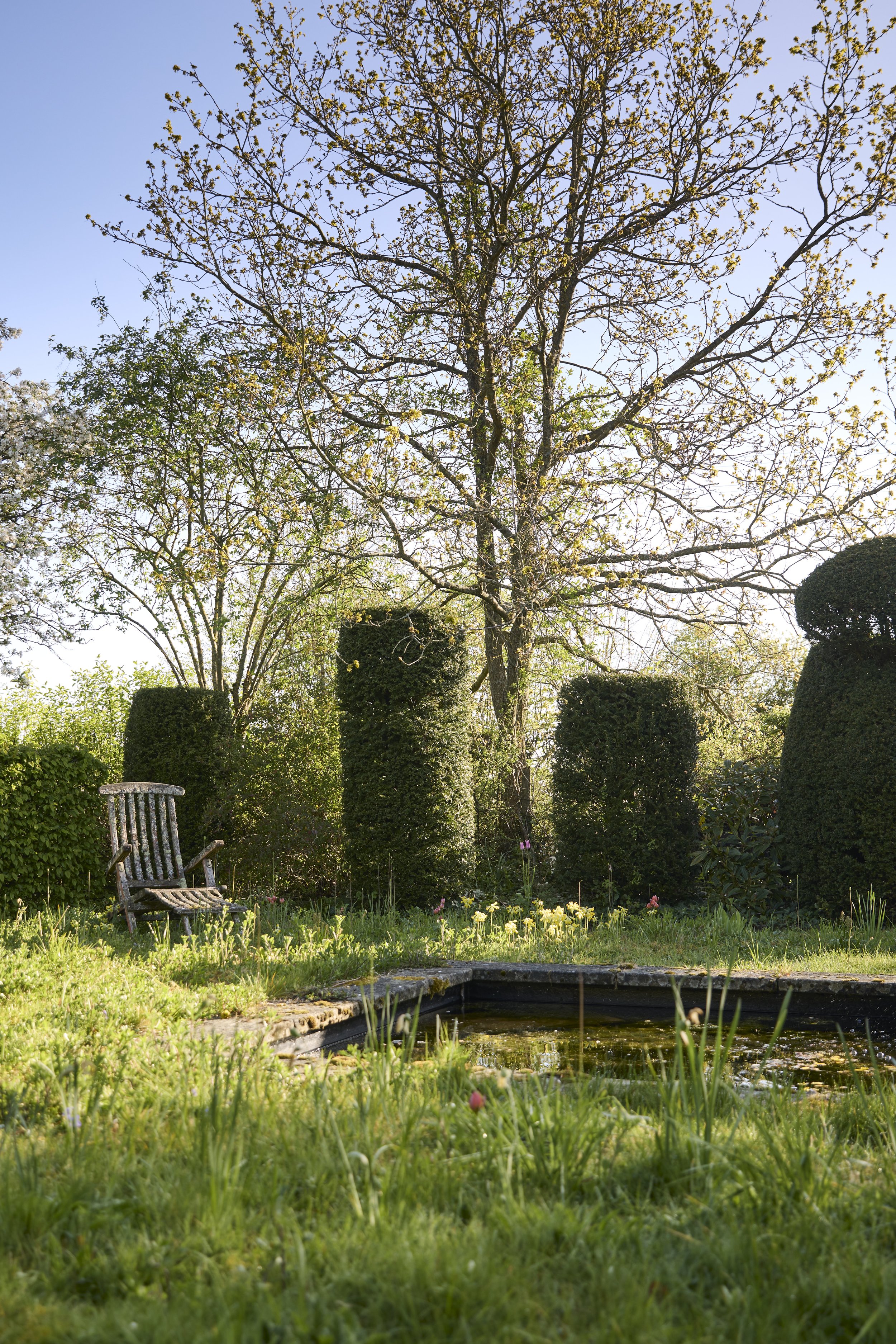260422_Rustling_End_Herts_Spring_00643.jpg