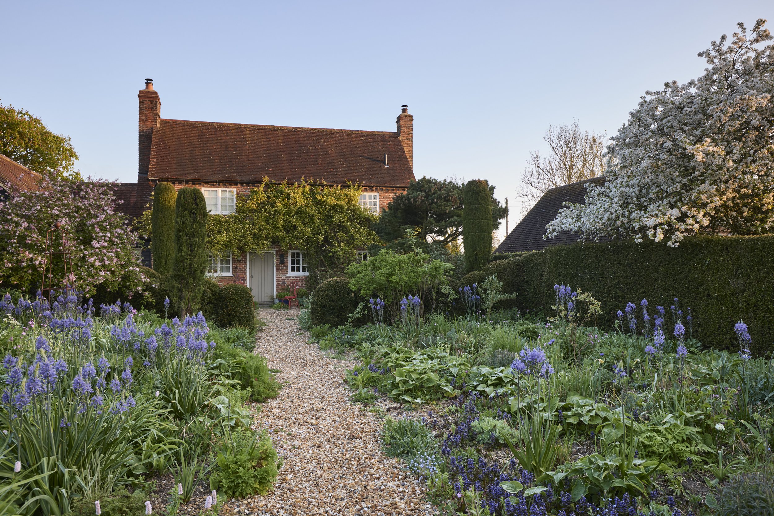 260422_Rustling_End_Herts_Spring_00111.jpg