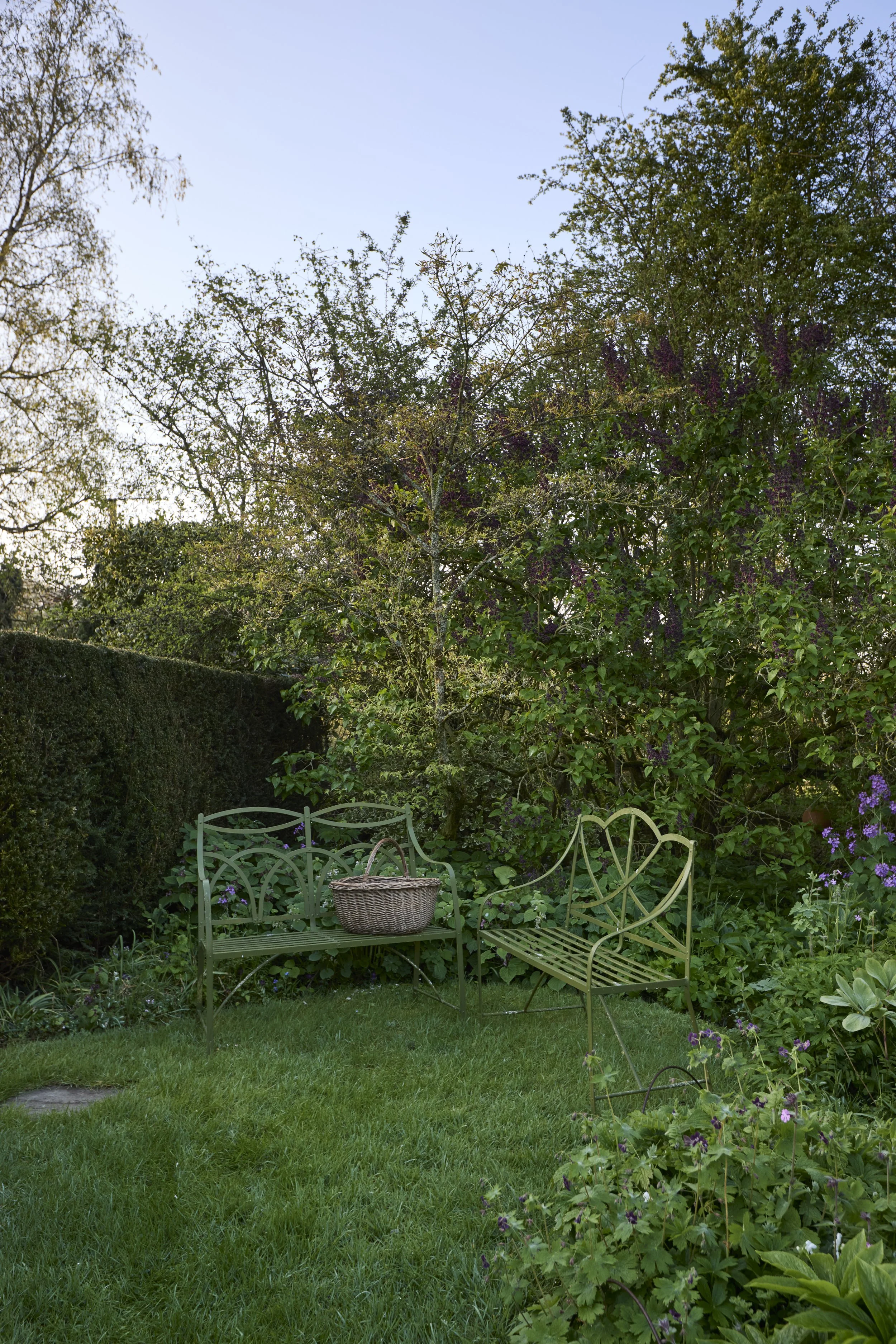 260422_Rustling_End_Herts_Spring_00253.jpg