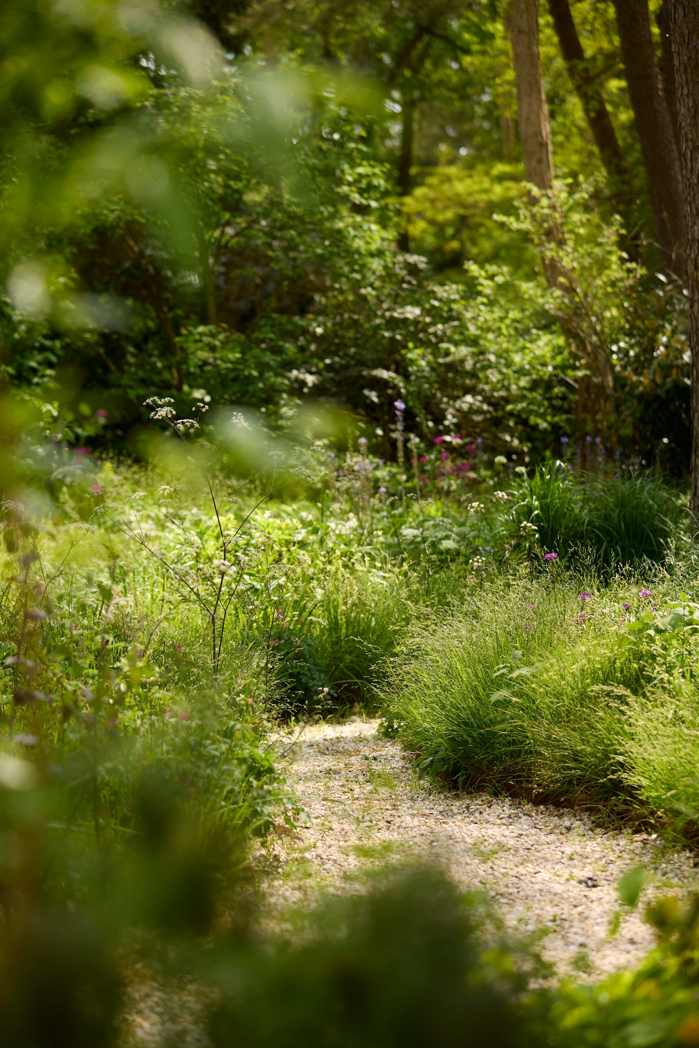 260507_SMLA_Hilversum_B_002962.jpg