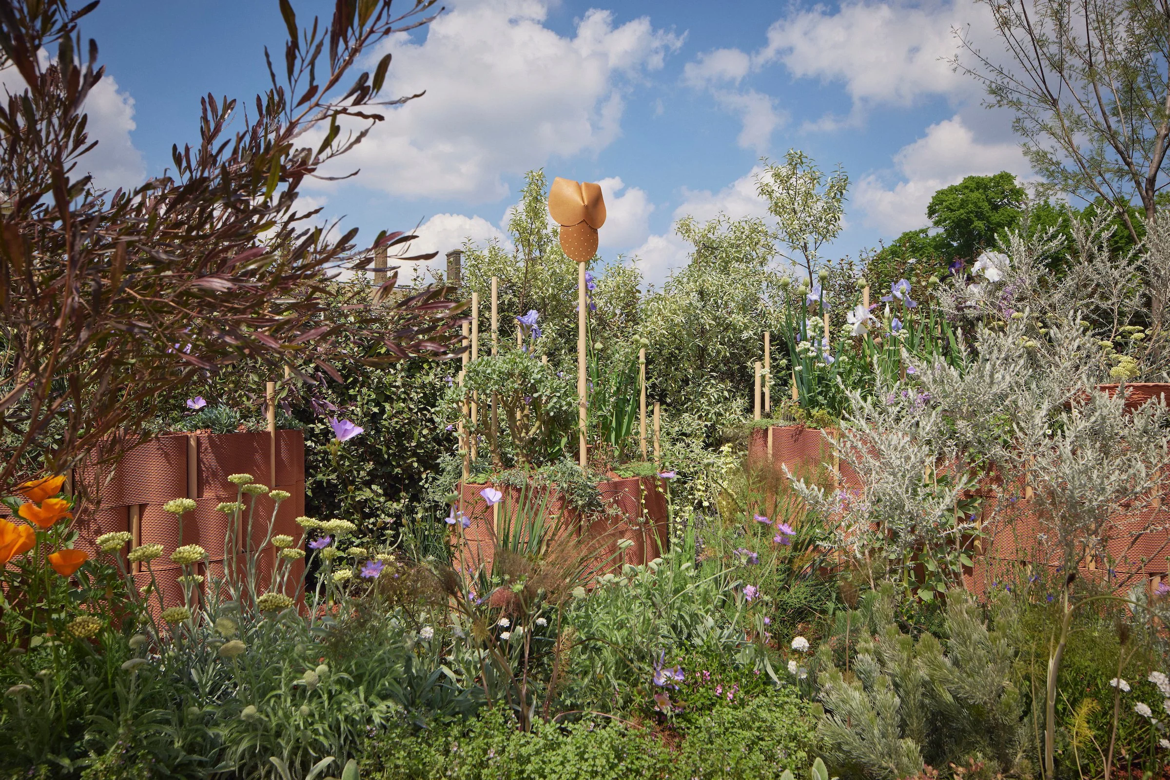 240519_RHS_Chelsea_Giulio_Giorgi_00567.jpg