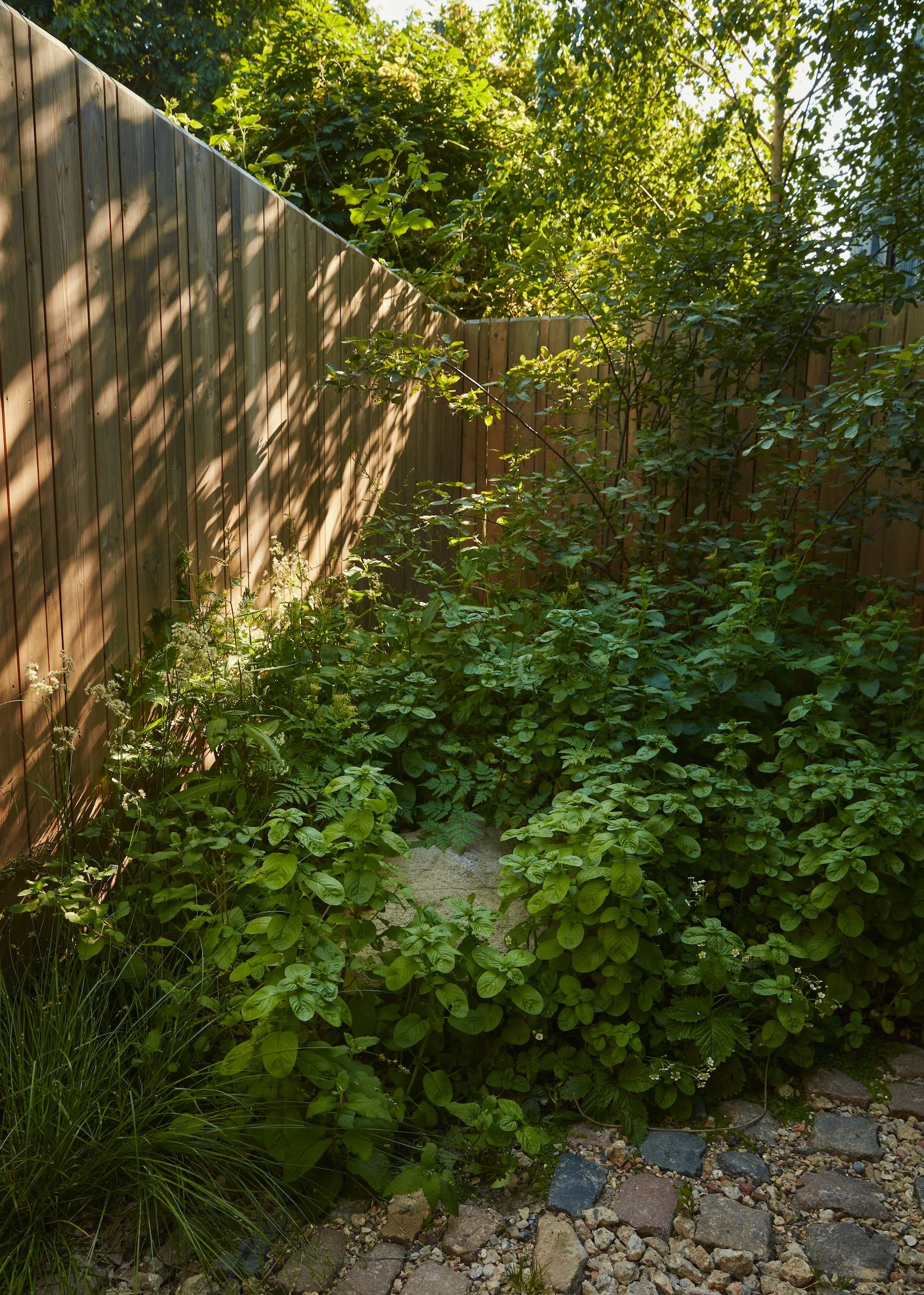 230607_Arbour_WildCity_B_25849.jpg
