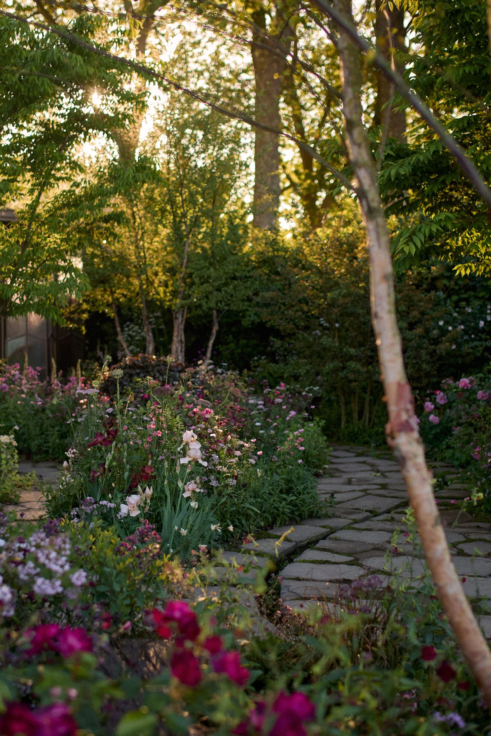 250520_RHS_Chelsea_Tues_06079 1.jpg