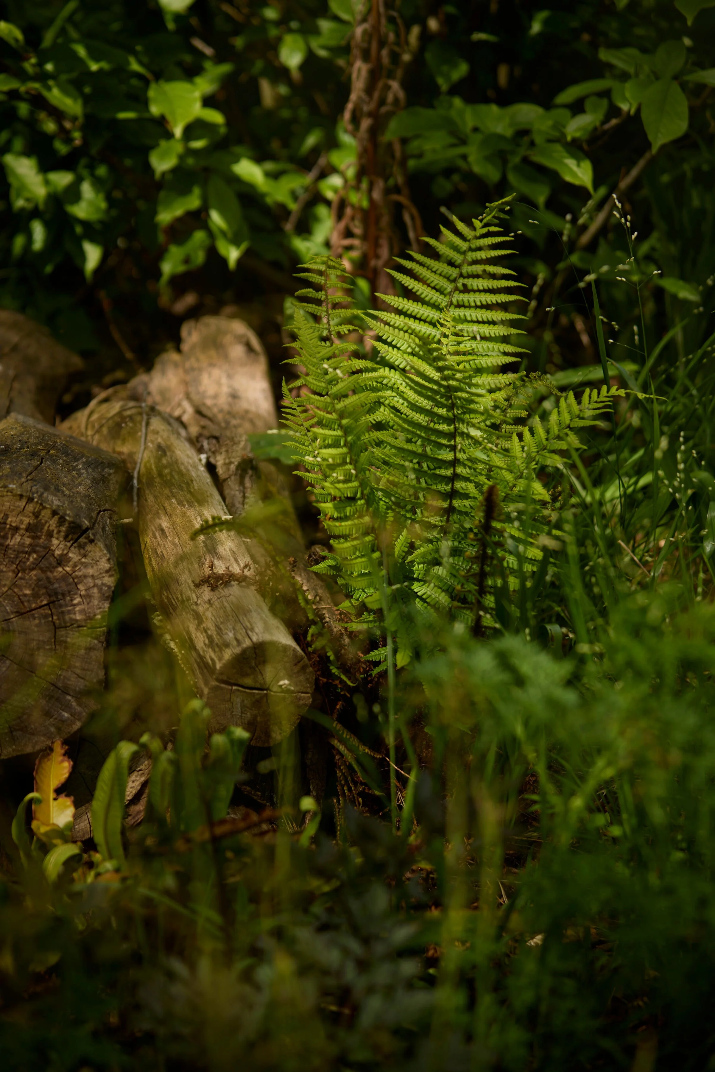 260507_SMLA_Hilversum_B_003020.jpg