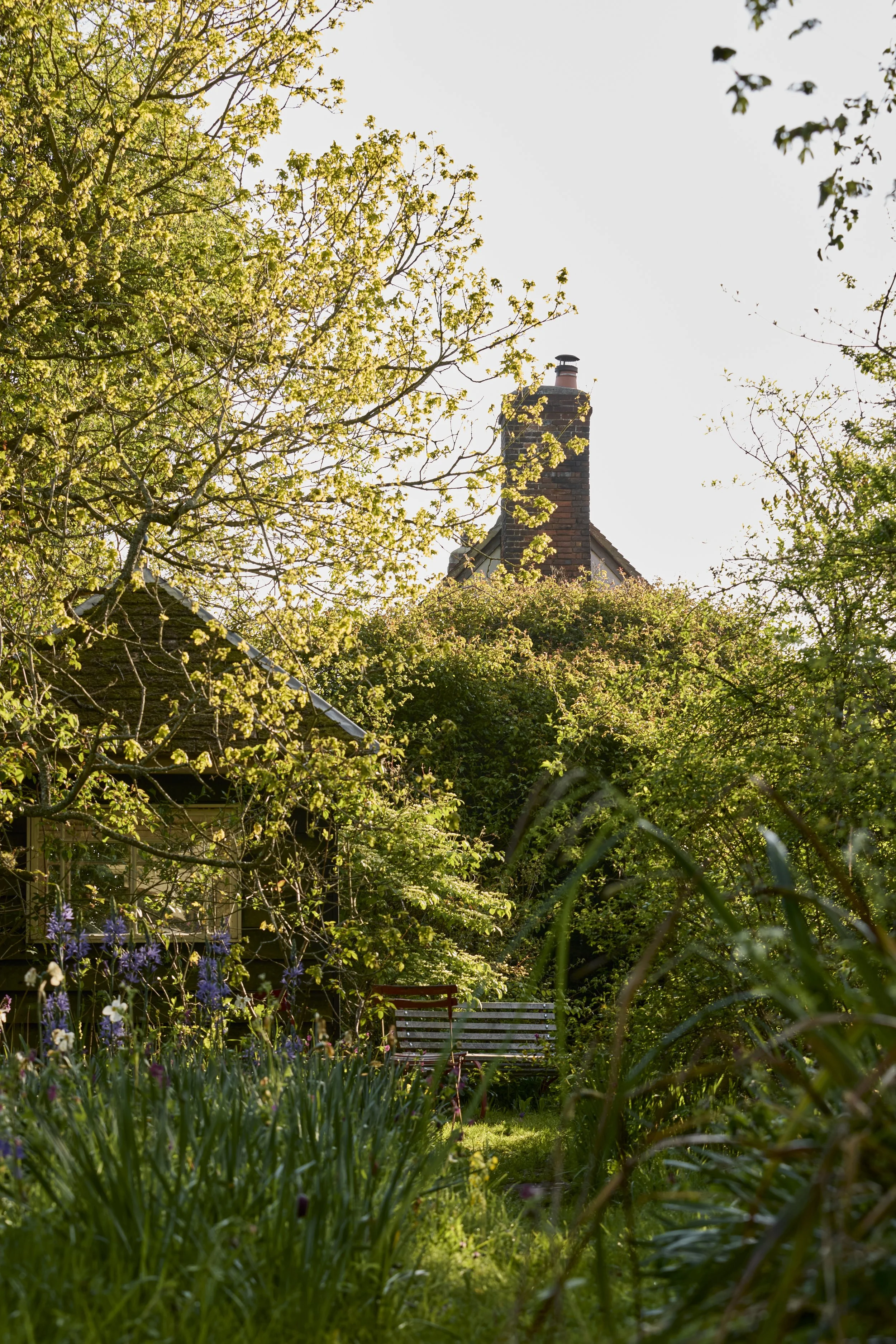 260422_Rustling_End_Herts_Spring_00547.jpg