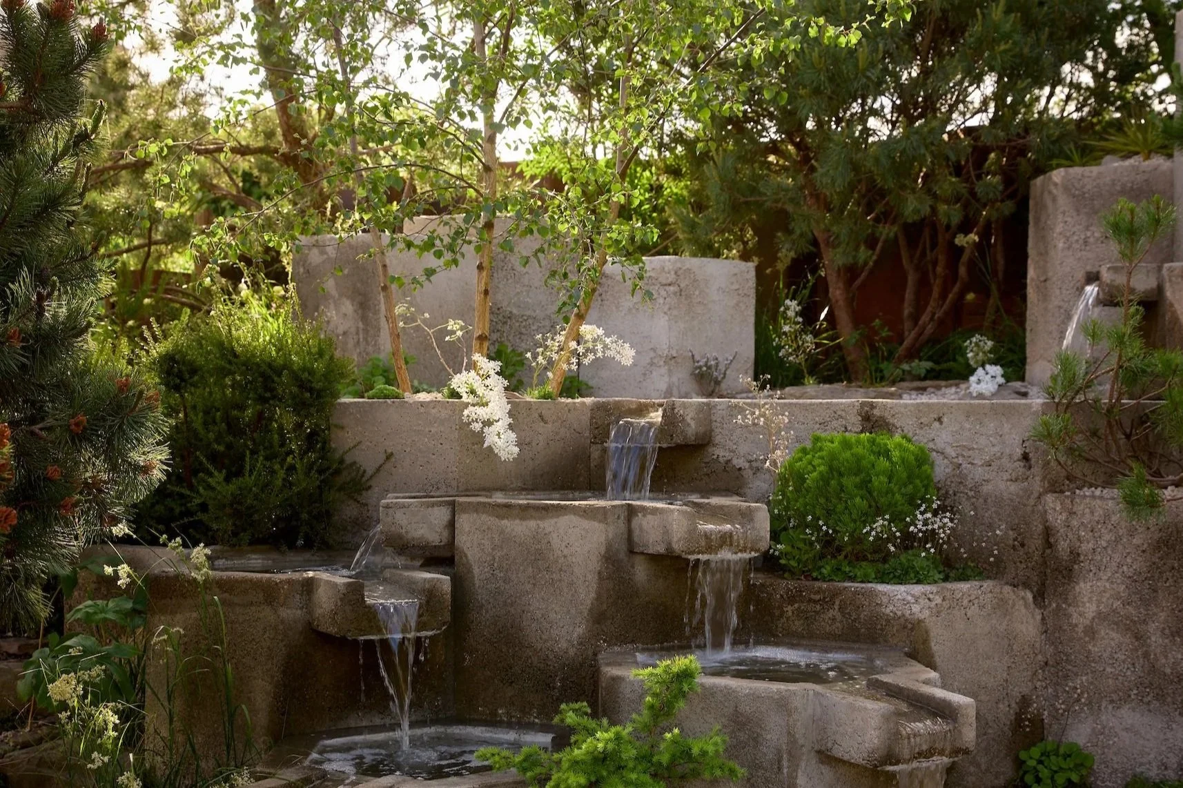 Tom Bannister and John Warland, RHS Chelsea 2025