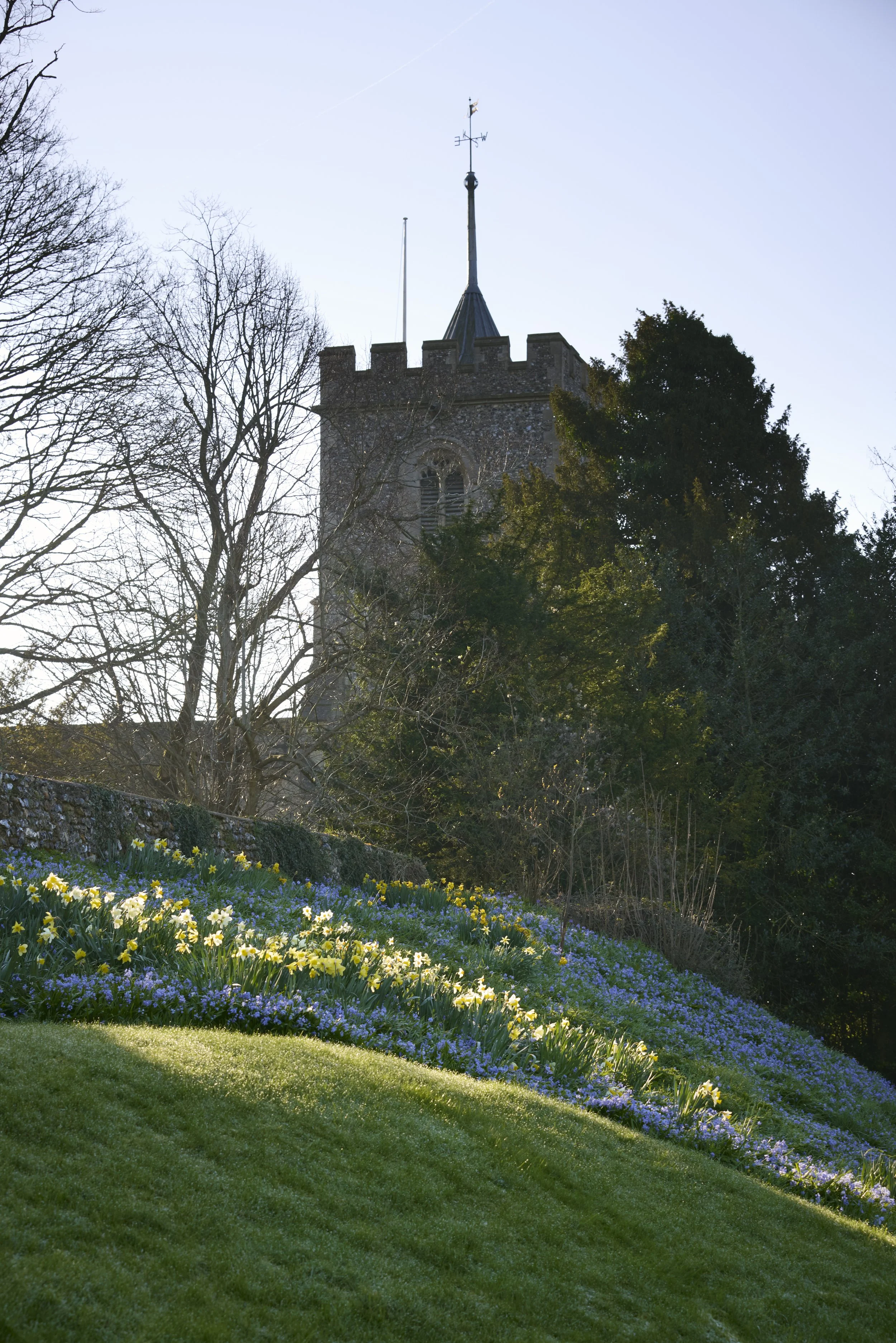 260311_Benington_Lordship_Gardens_A_01553.jpg