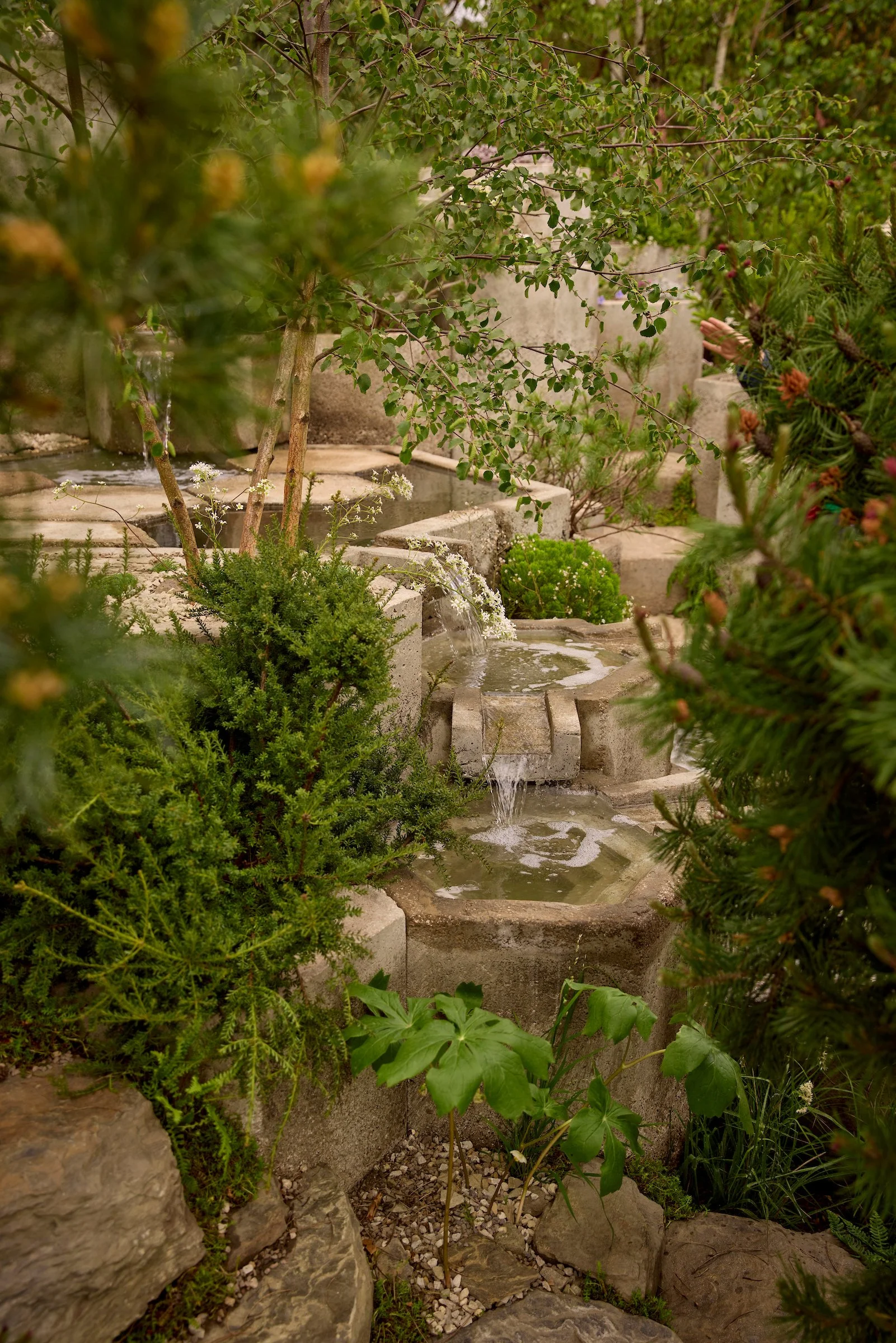 250518_RHS_Chelsea_Sun__01928.jpg