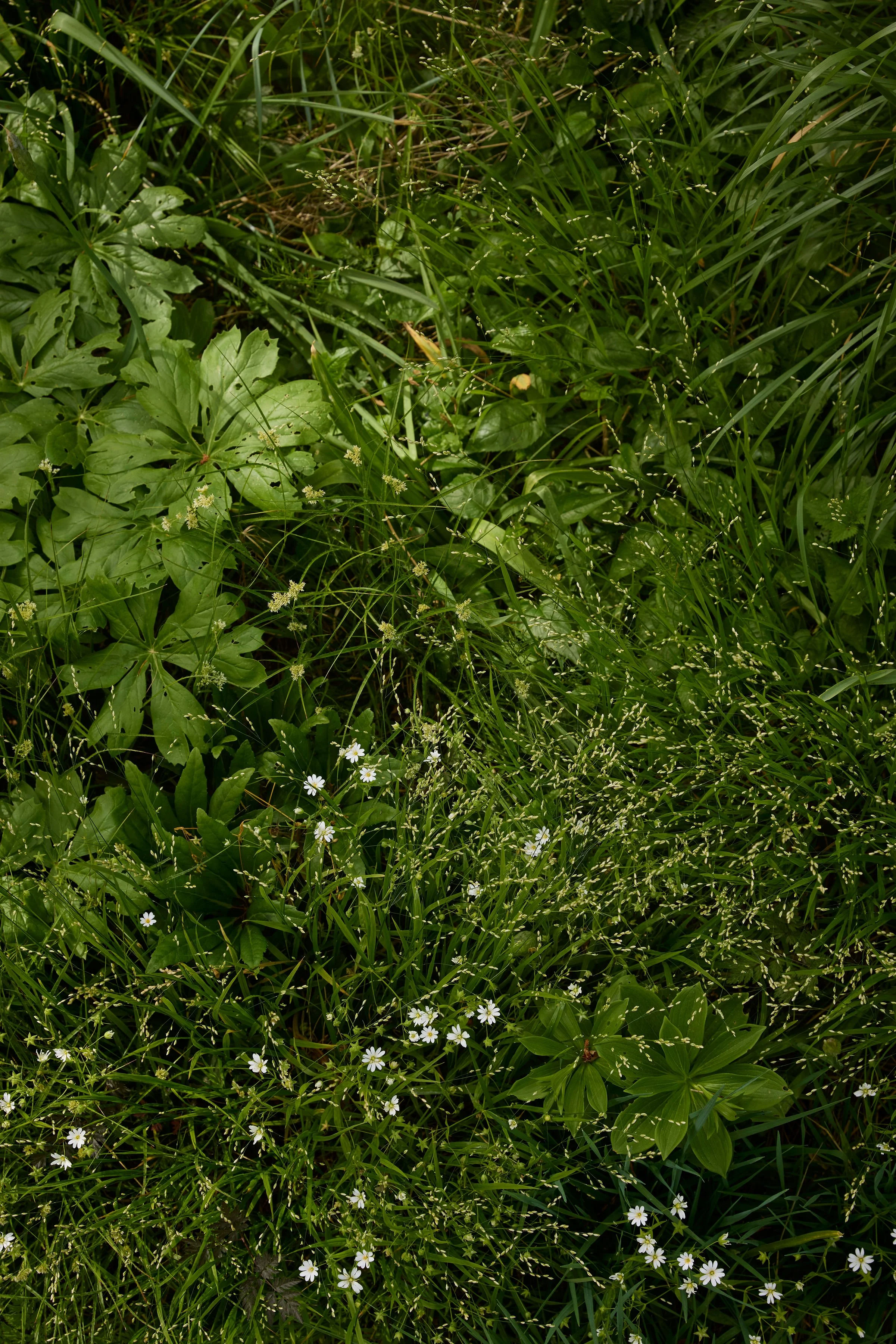 260507_SMLA_Hilversum_A_001117.jpg