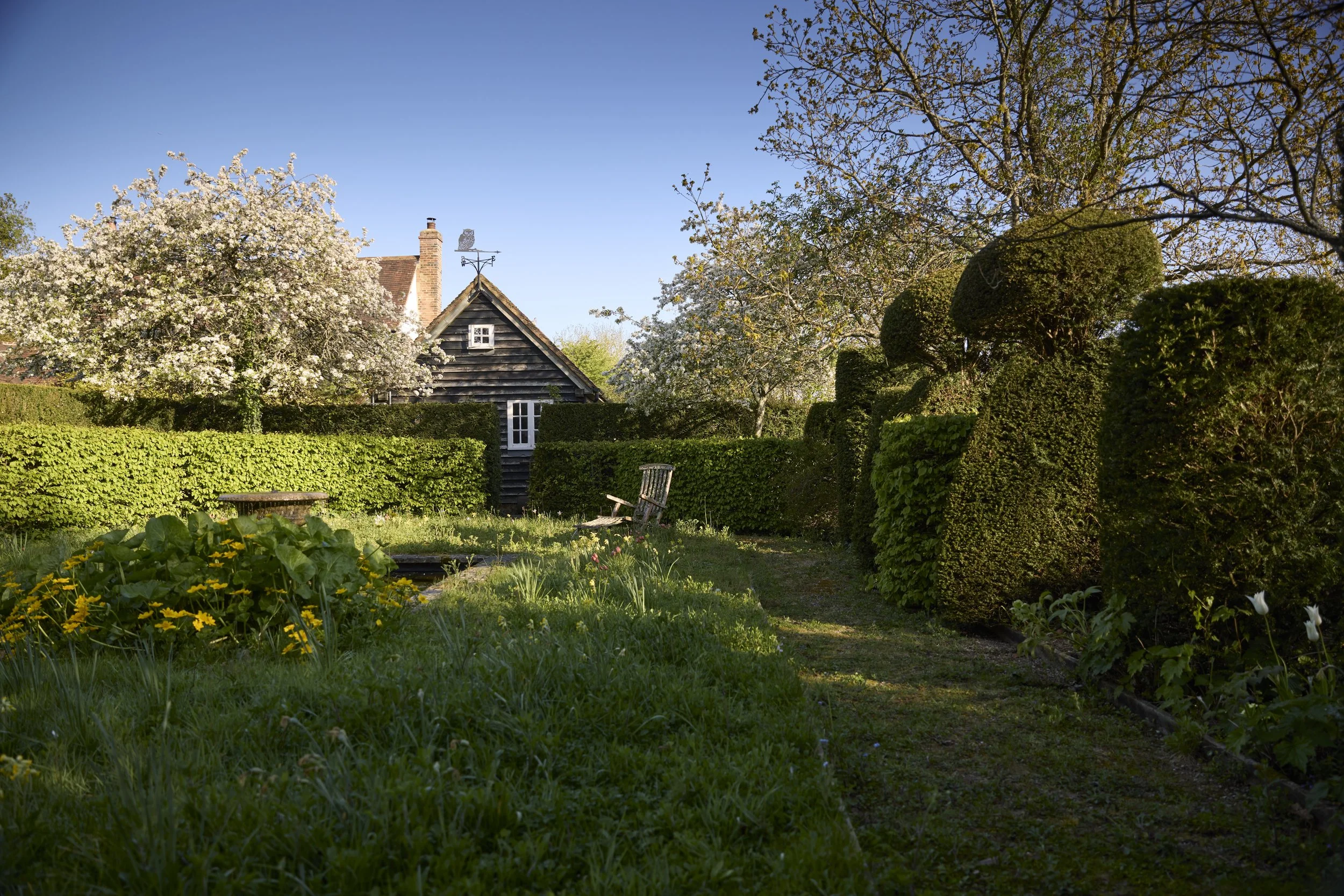260422_Rustling_End_Herts_Spring_00655.jpg