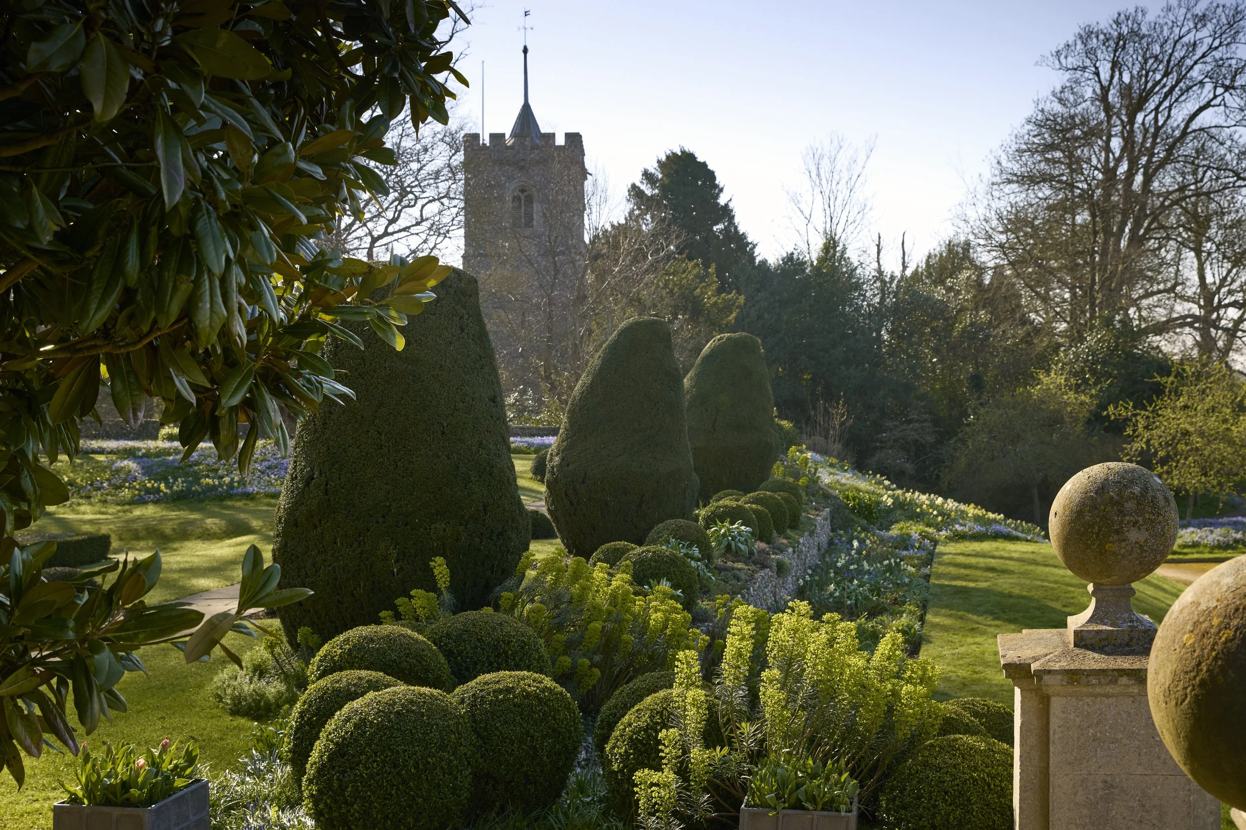 260311_Benington_Lordship_Gardens_A_01668.jpg