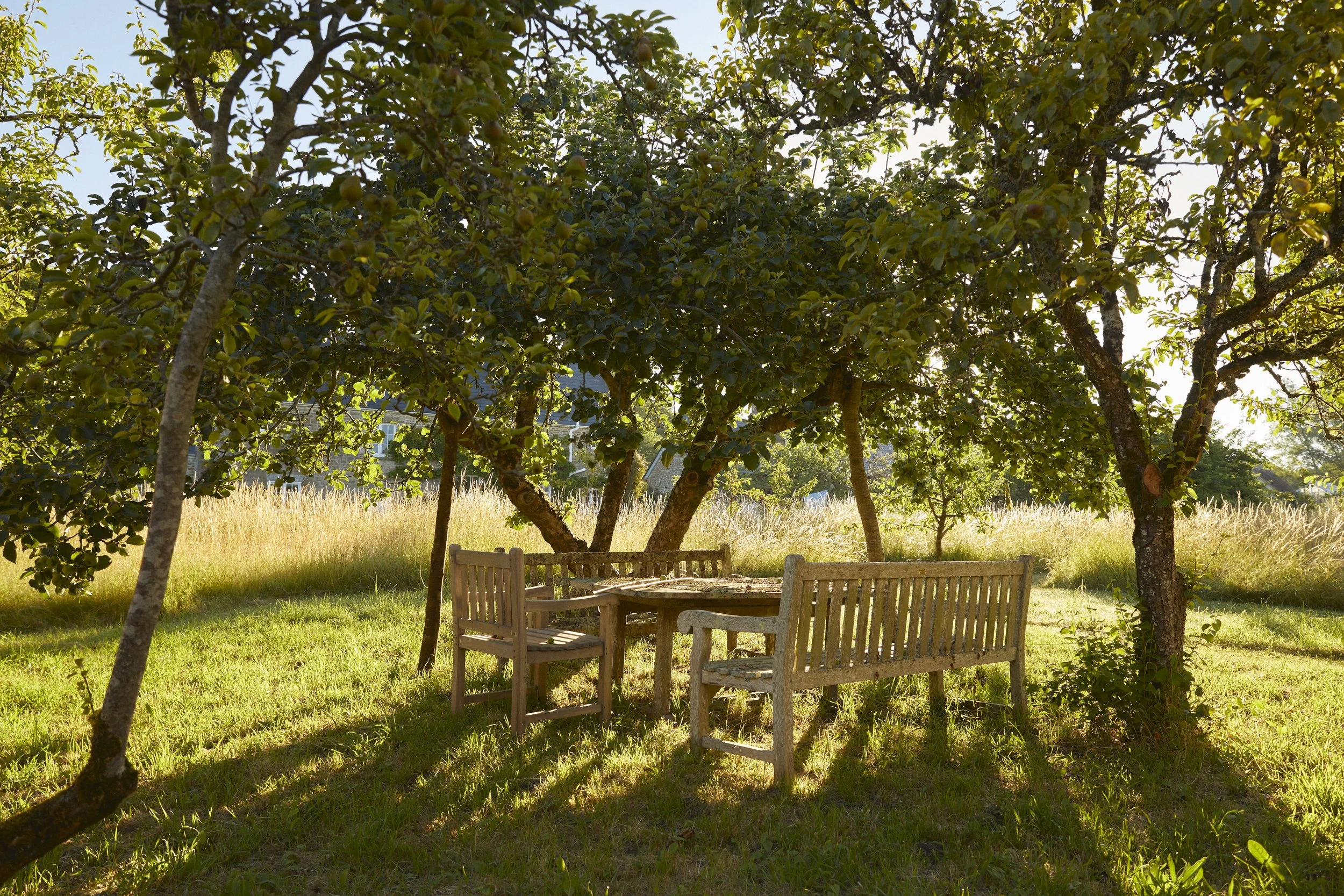 220708_Long_Bredy_House_ 8 1.jpg