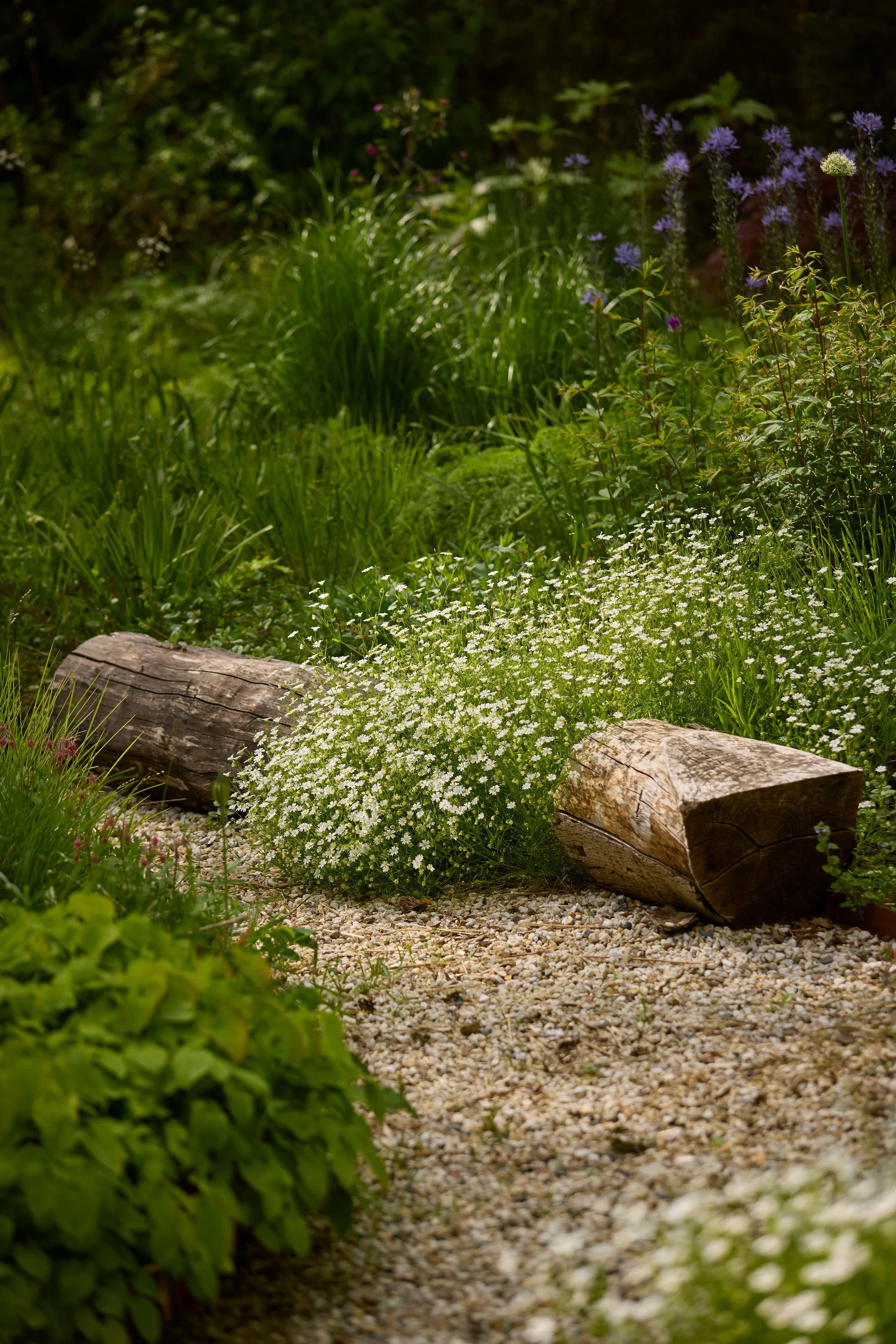 260507_SMLA_Hilversum_B_003102.jpg