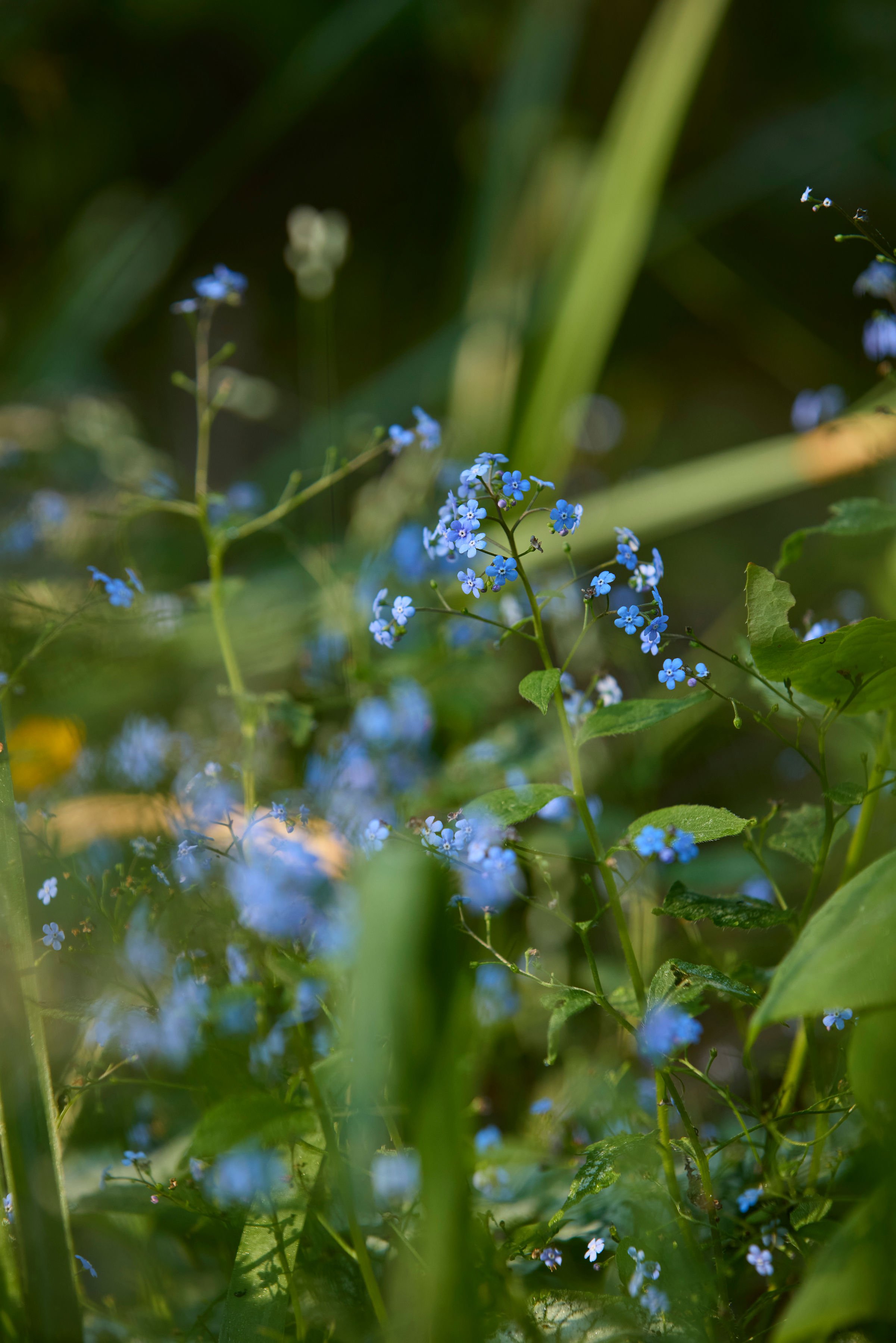 260507_SMLA_Hilversum_A_002708.jpg