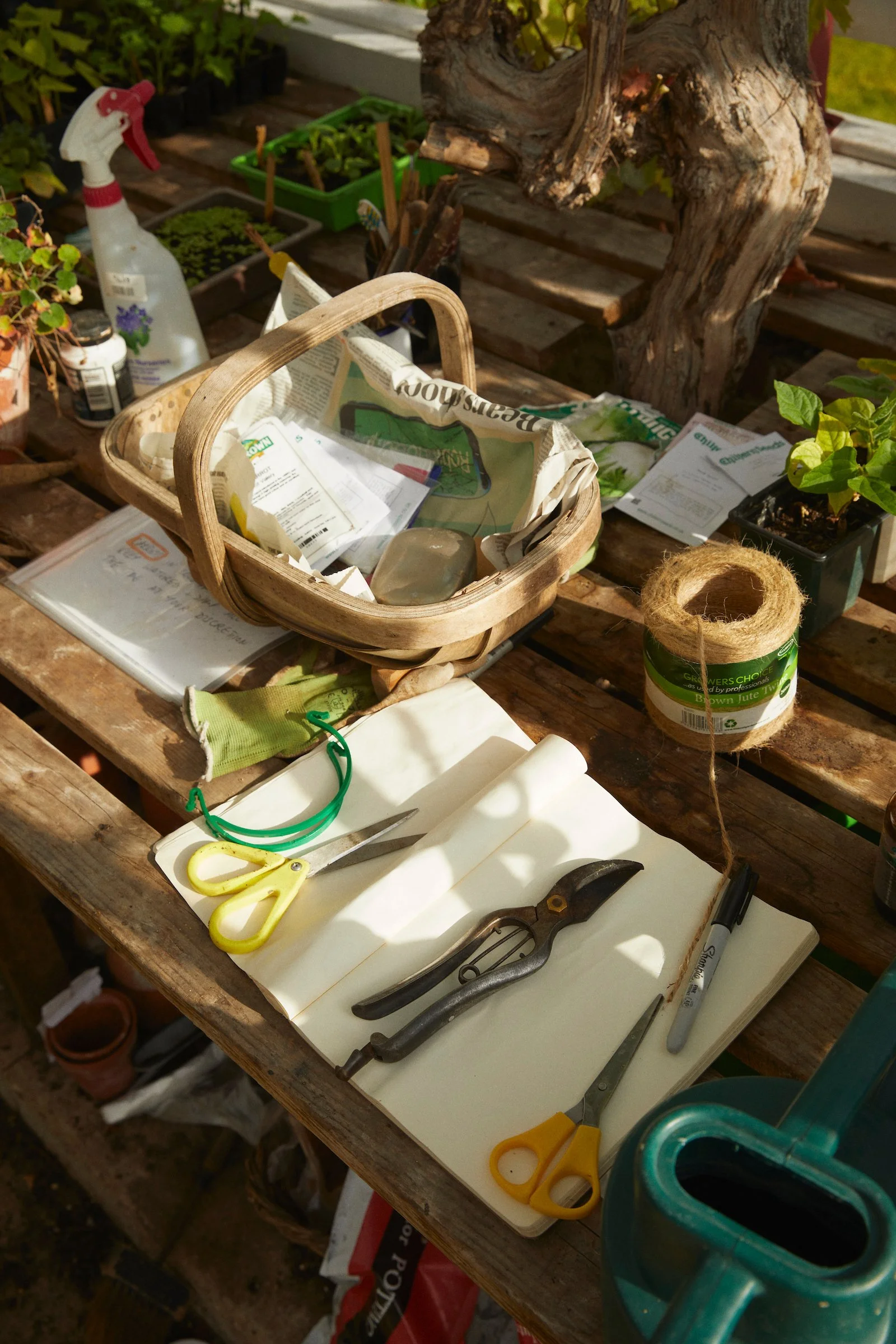 220708_Long_Bredy_House_ 52 1.jpg