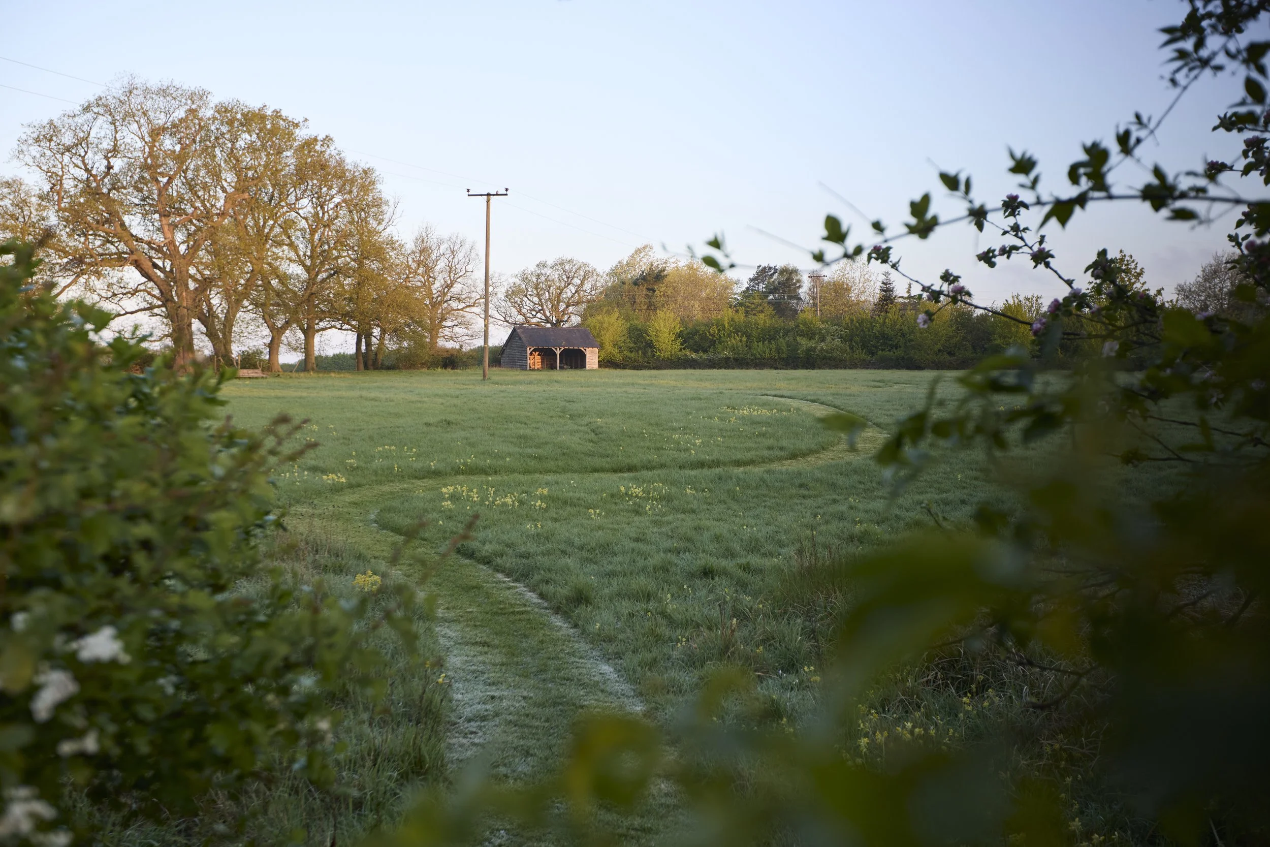 260422_Rustling_End_Herts_Spring_00057.jpg