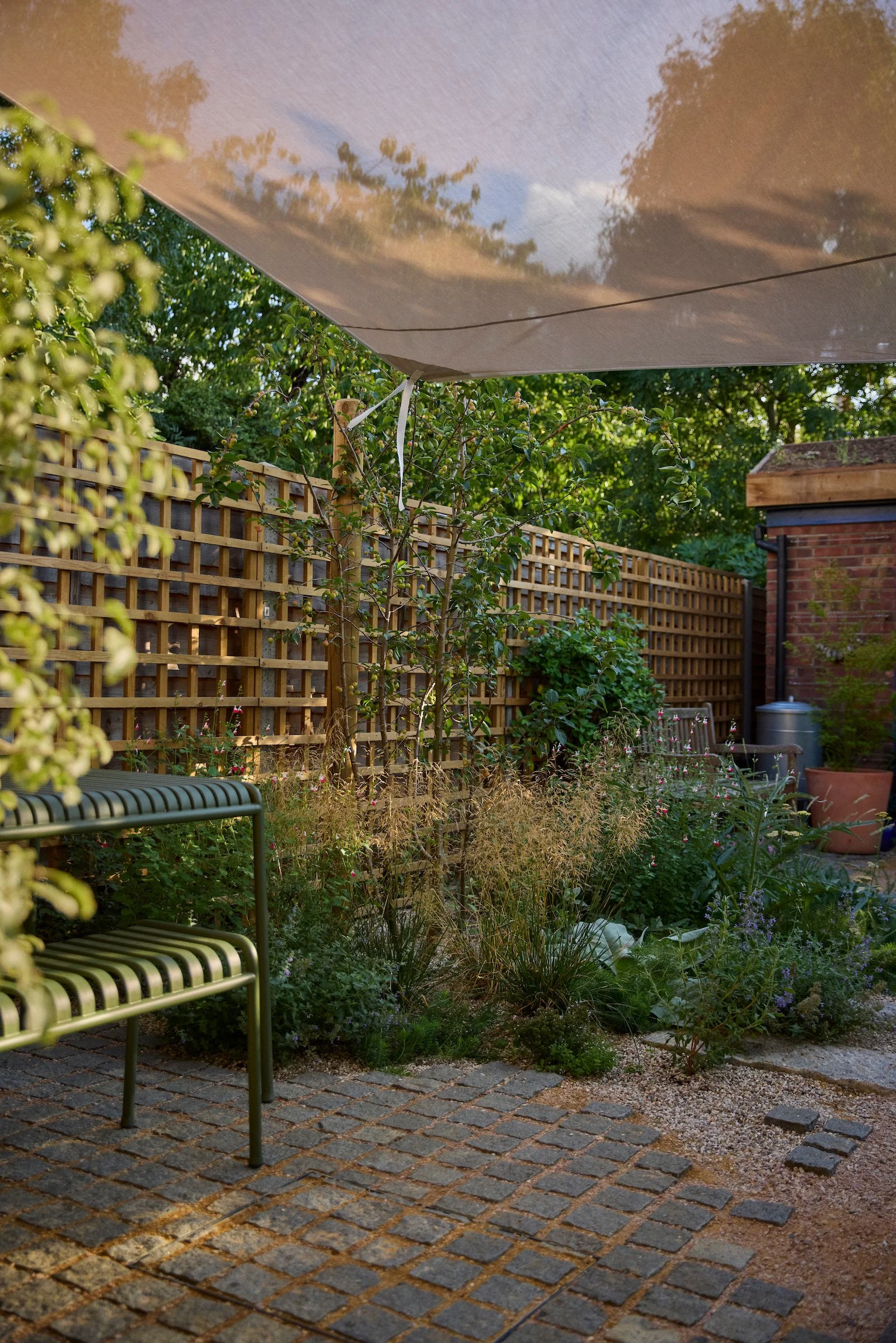 250813_Wilder_20_St_Barnabas_Rd_00749 1.jpg