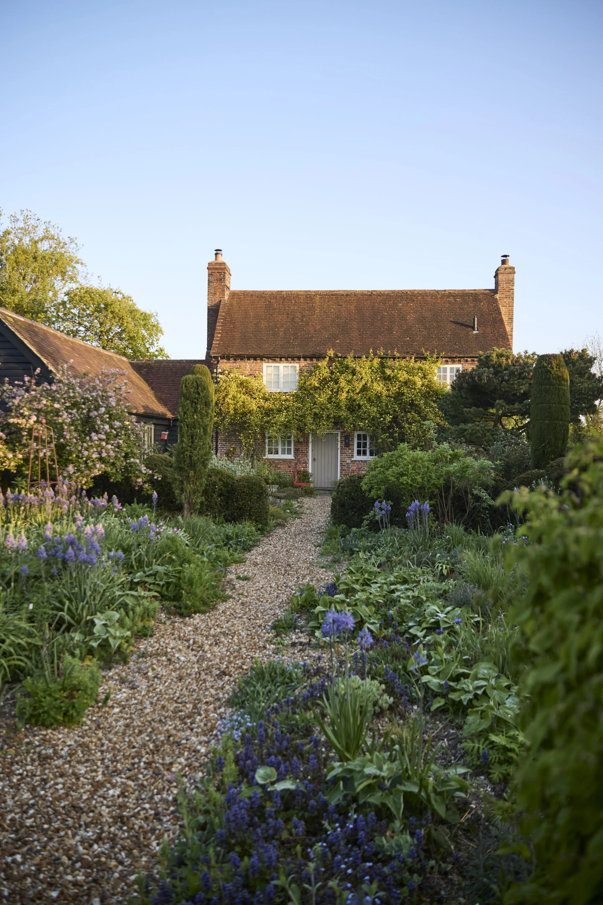 260422_Rustling_End_Herts_Spring_00235.jpg
