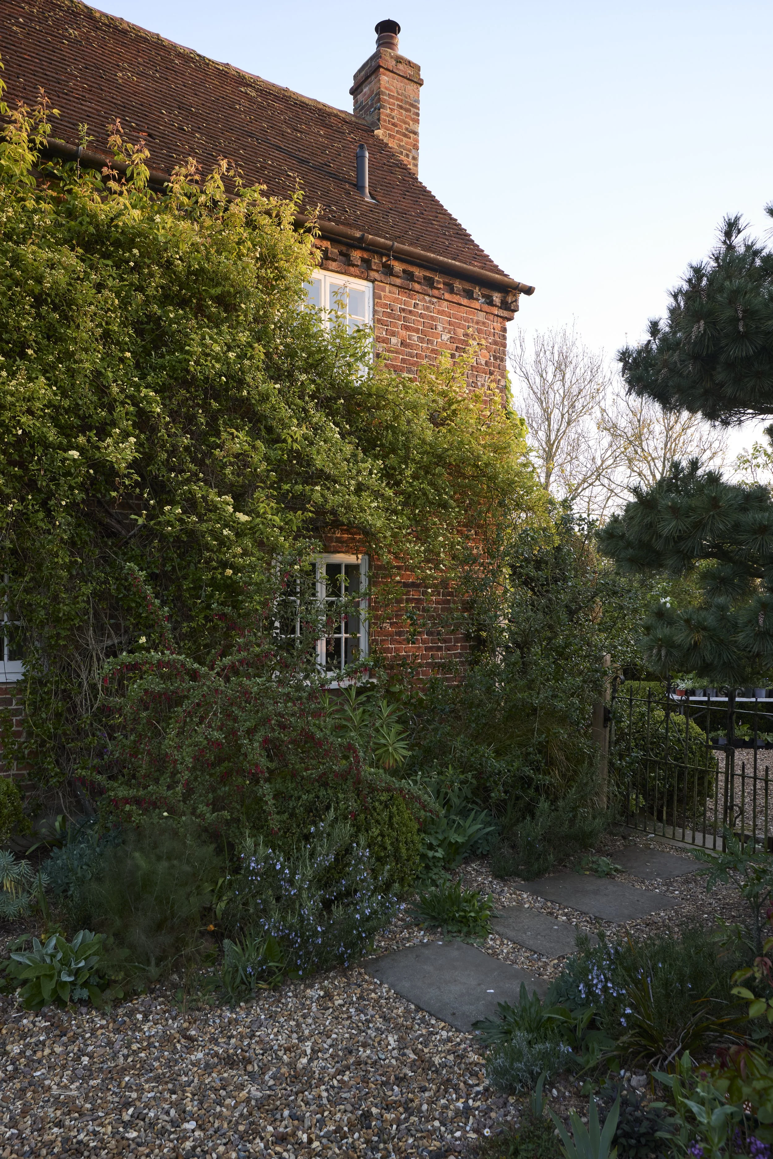 260422_Rustling_End_Herts_Spring_00070.jpg