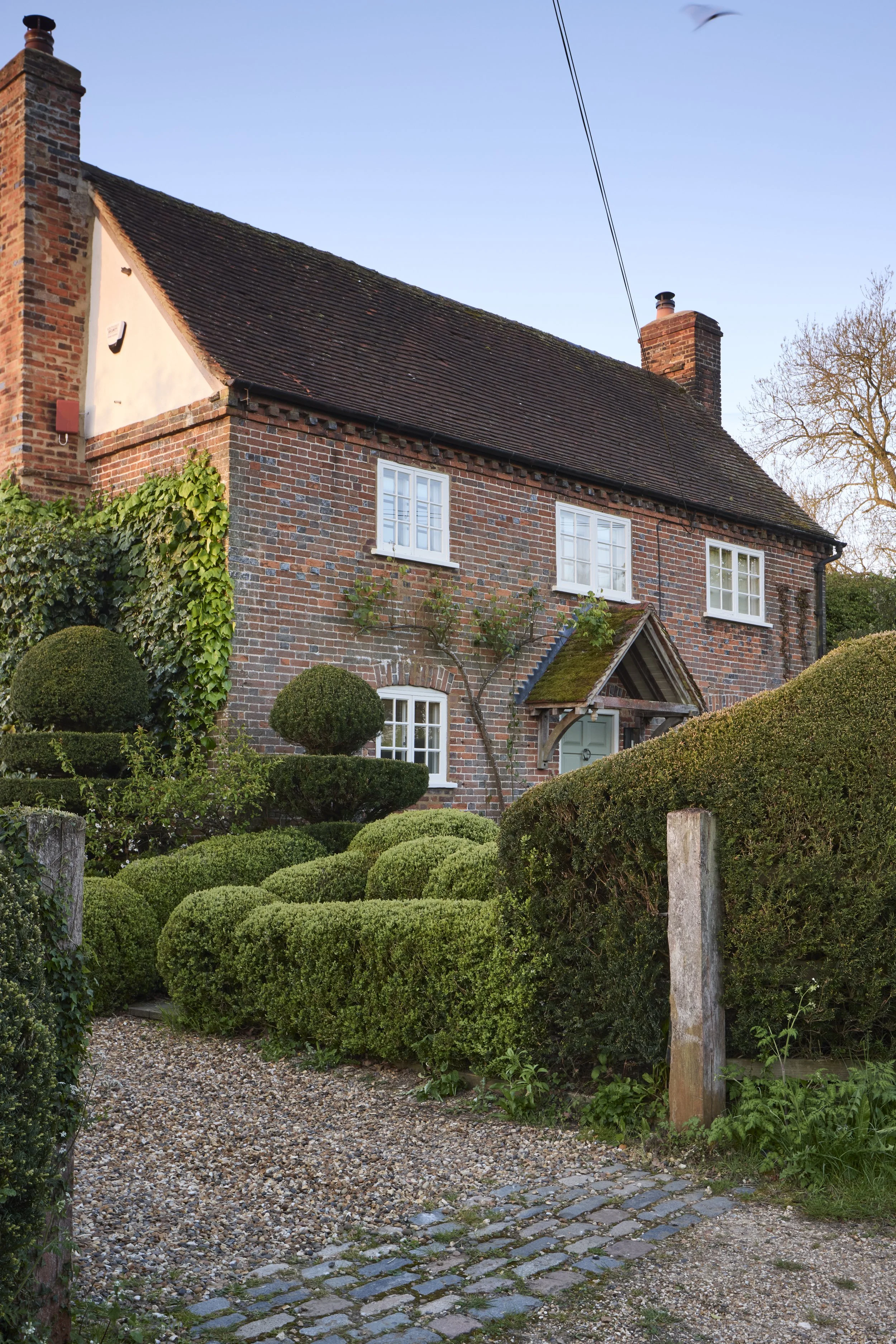 260422_Rustling_End_Herts_Spring_00049.jpg