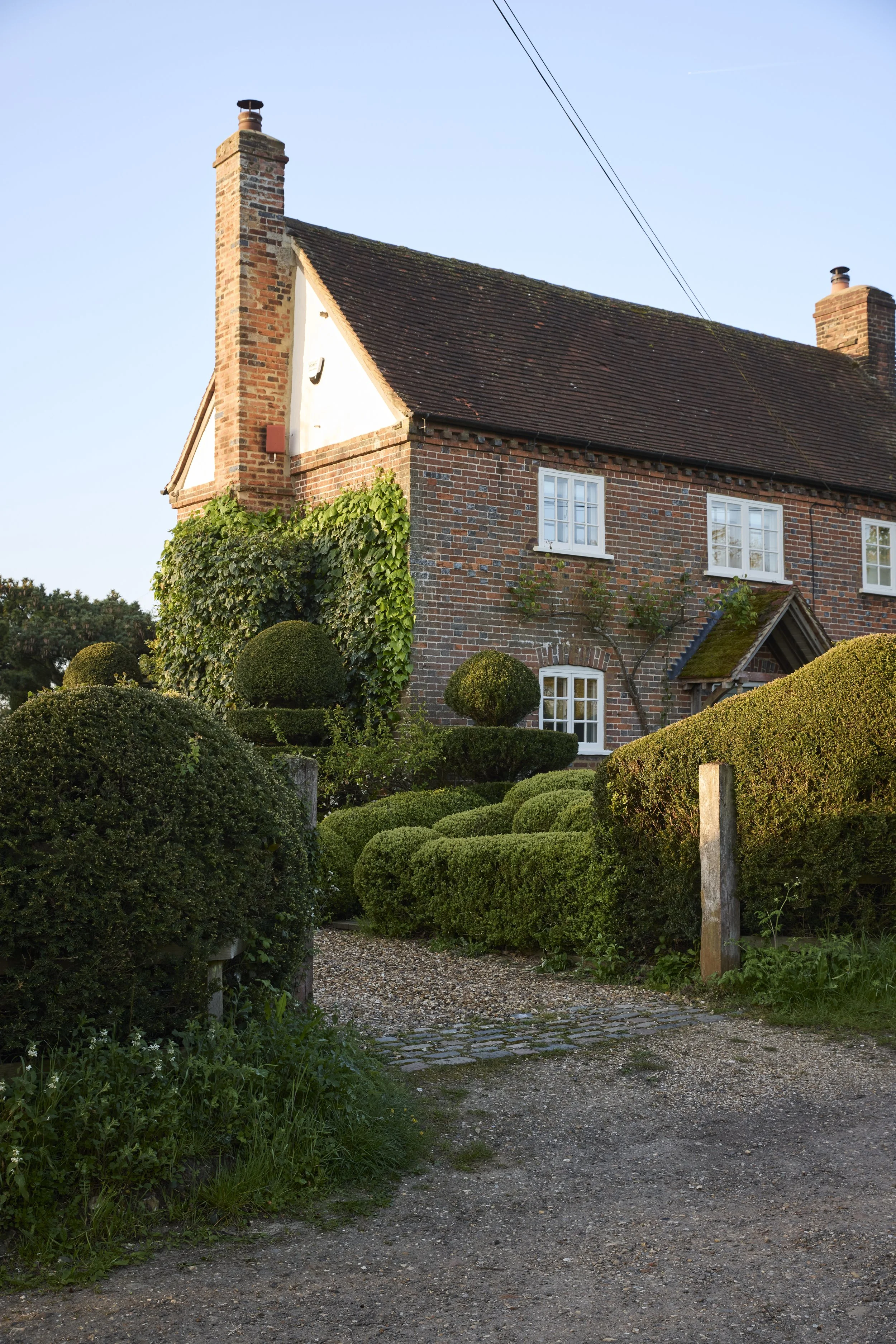260422_Rustling_End_Herts_Spring_00210.jpg