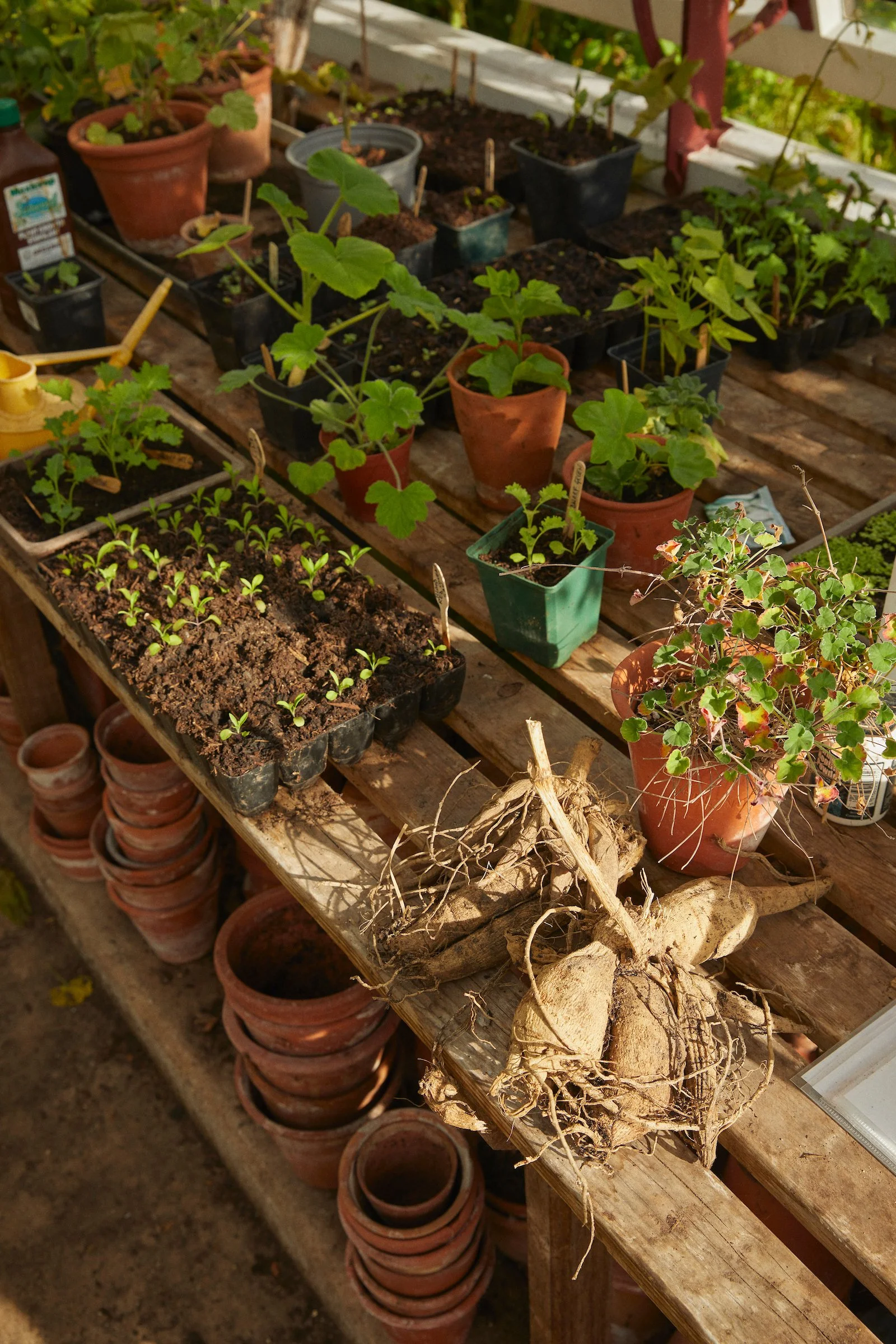 220708_Long_Bredy_House_ 53 1.jpg