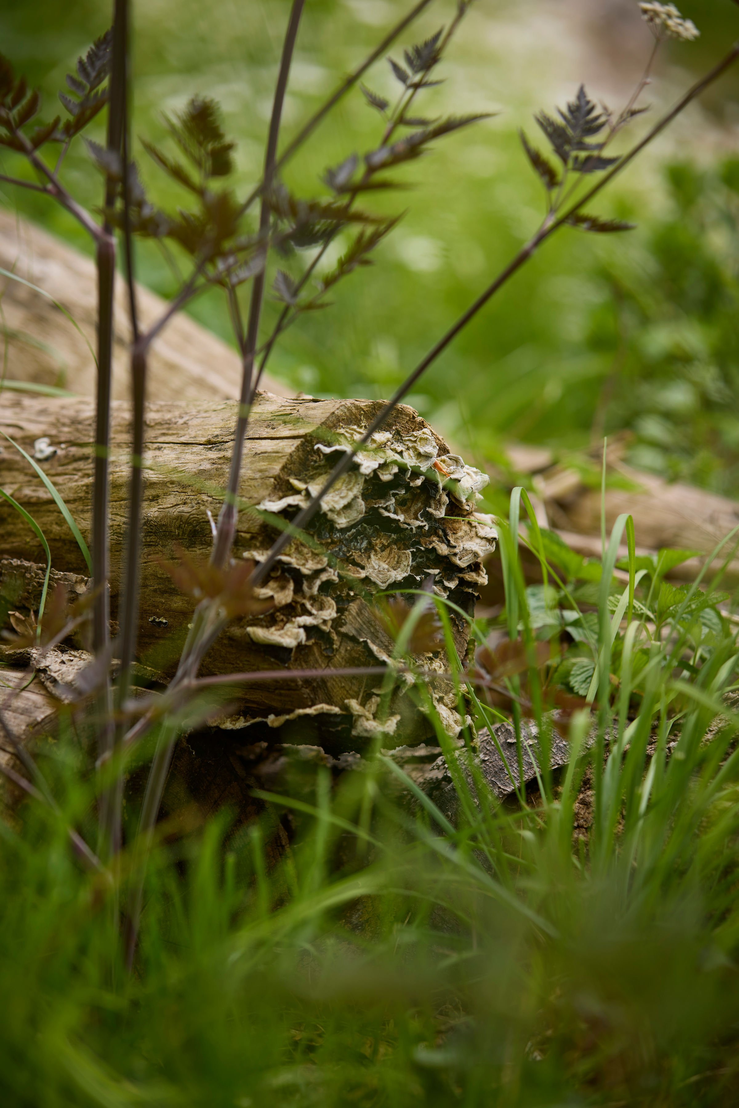 260507_SMLA_Hilversum_B_003093.jpg