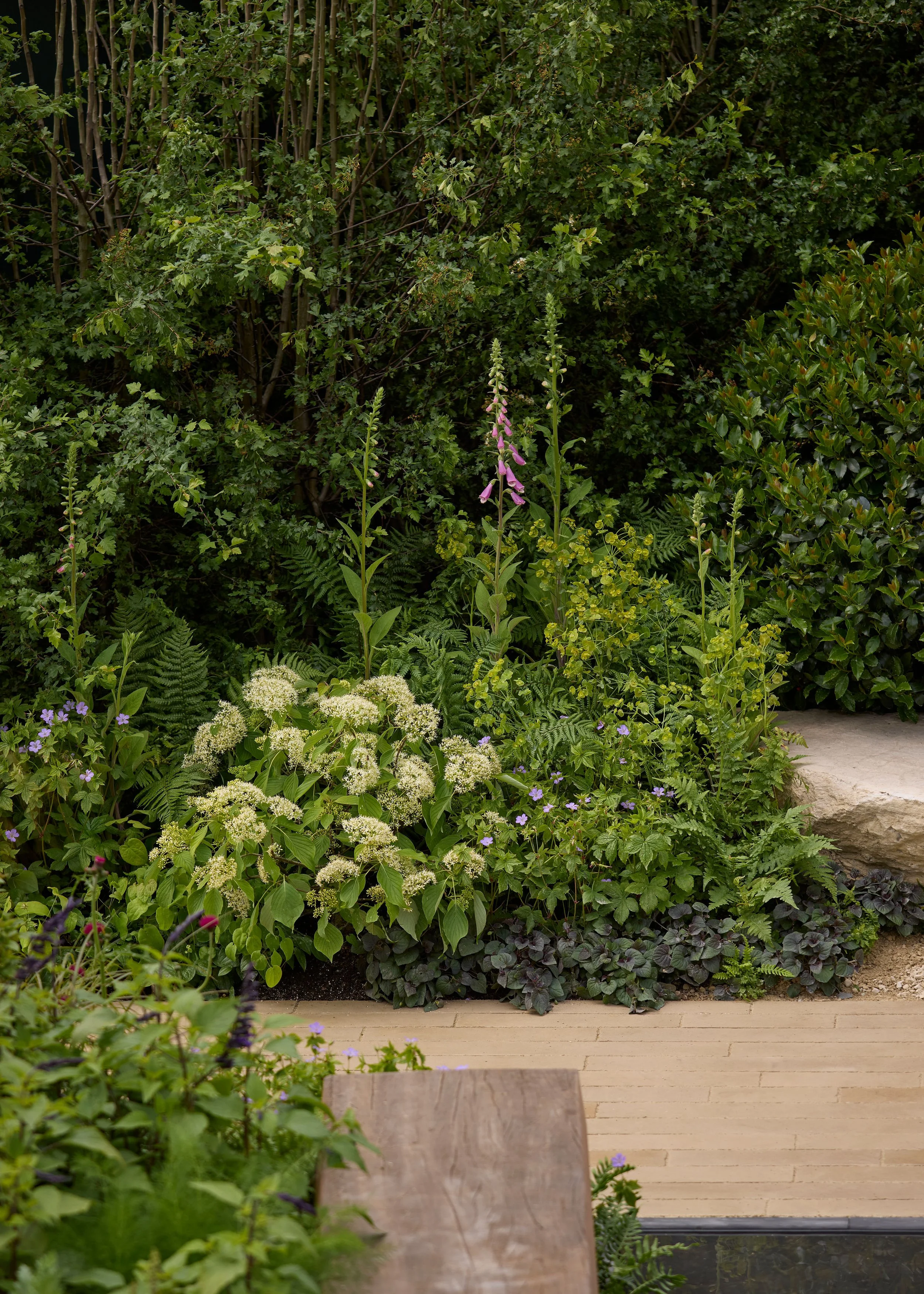 260515_RHS_Rob_Hardy_Trussell_001089.jpg